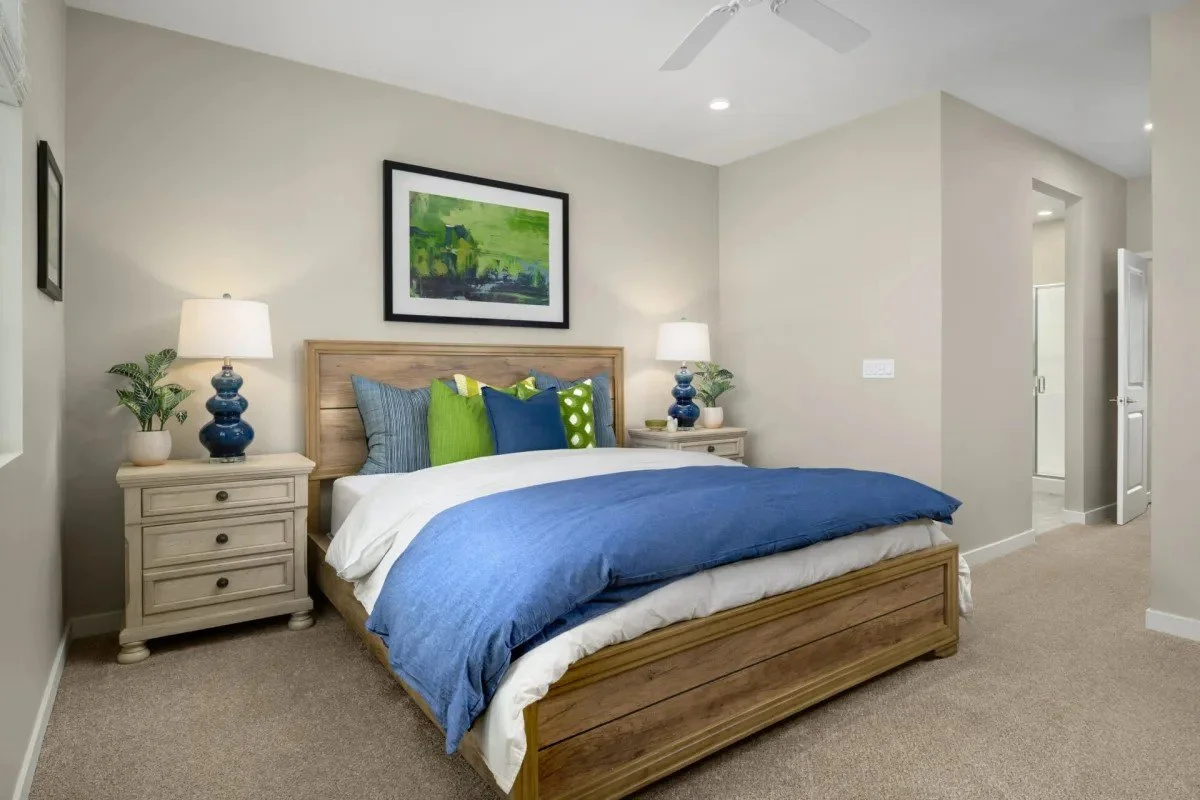 Tricon-Elk-Grove-Model-5.jpeg