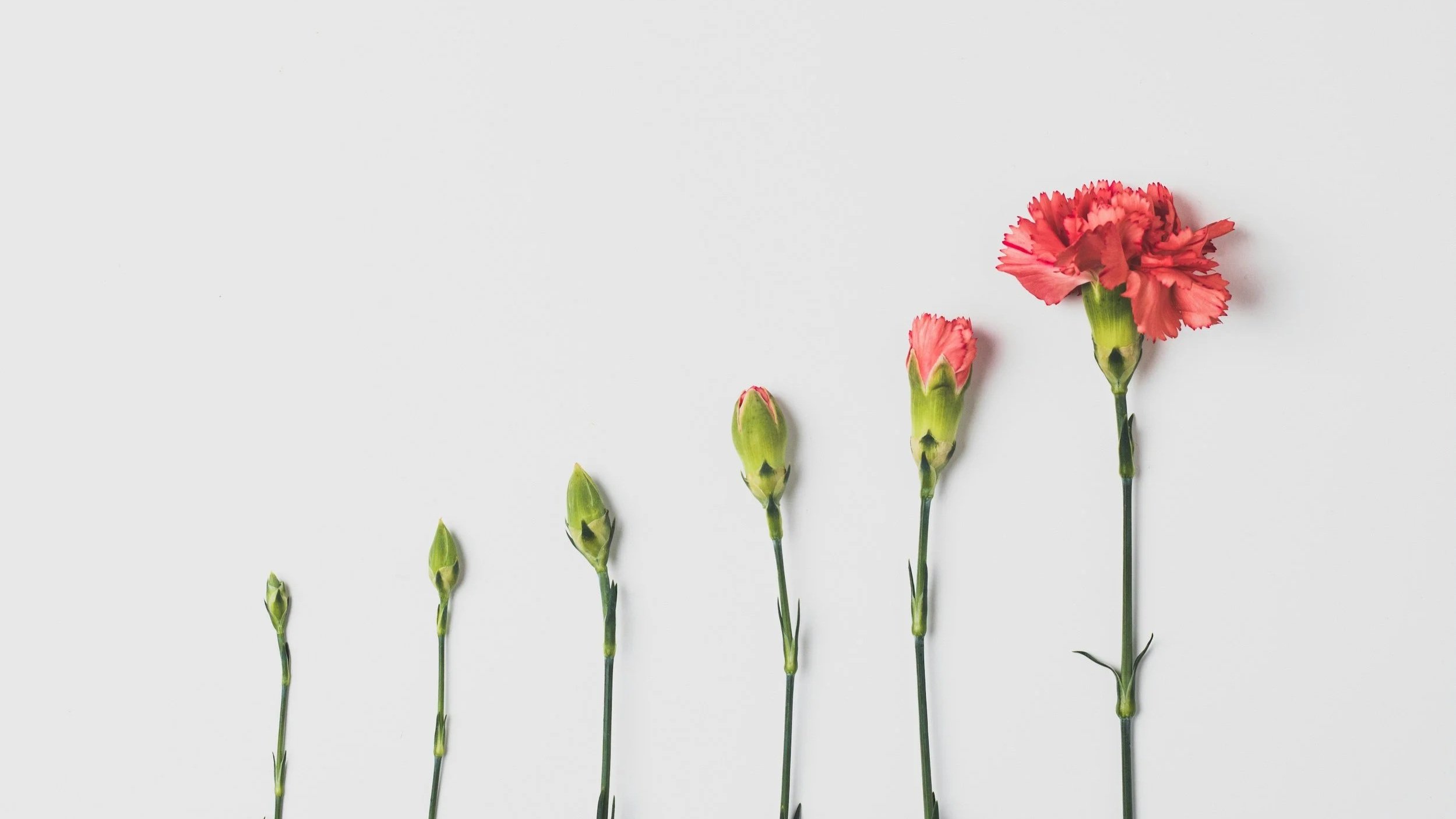 You're Growing... But Are You Growing Efficiently? 7 Signs It Is Time to Hire Operational Support