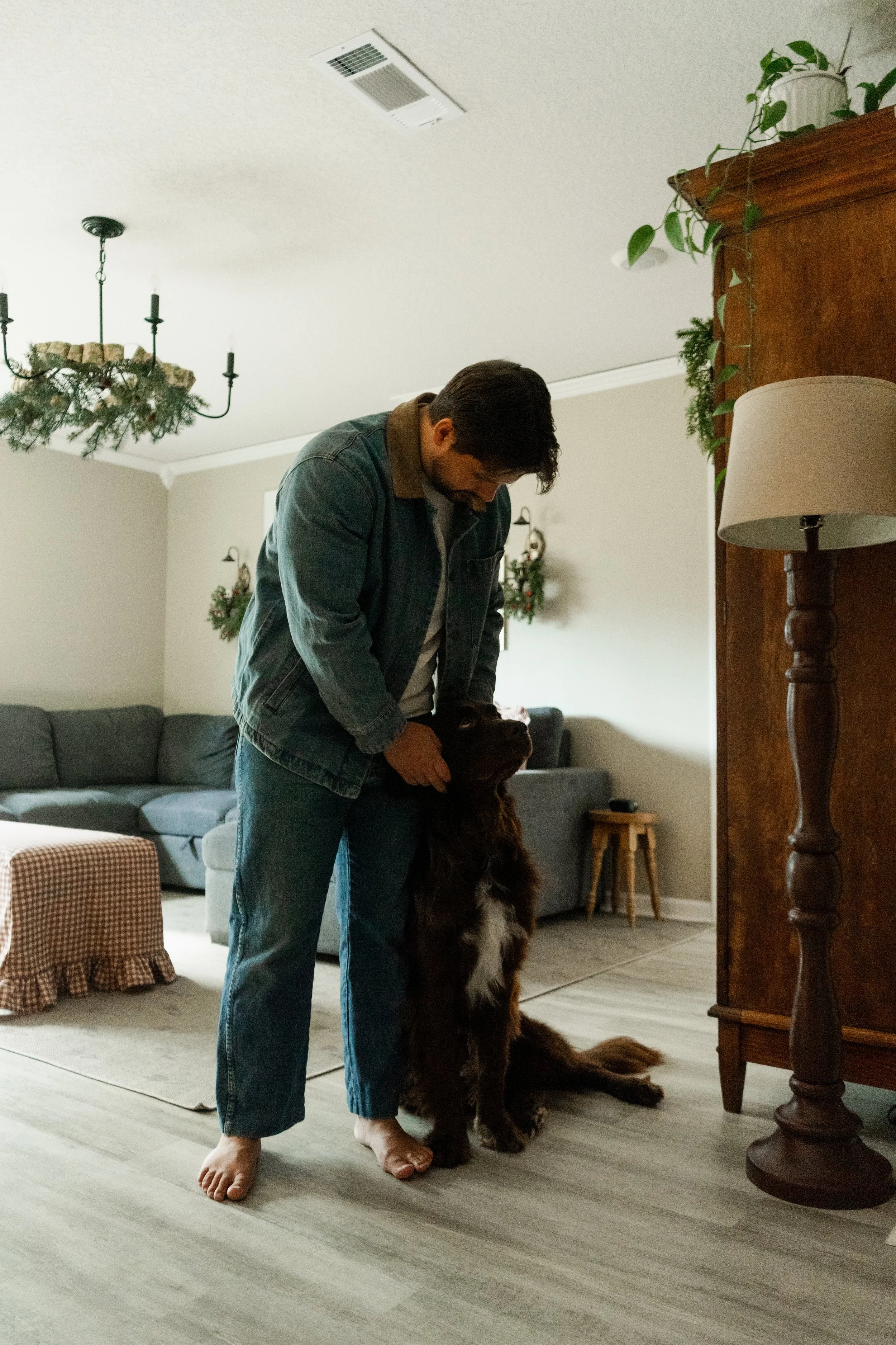 Man petting large brown dog in living room with gray sofa and Christmas decorations.