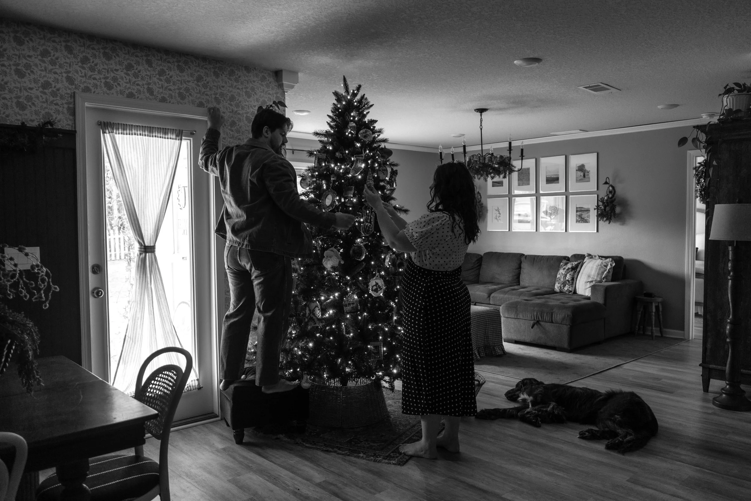 Two people decorating a Christmas tree in a living room with a dog lying on the floor nearby.