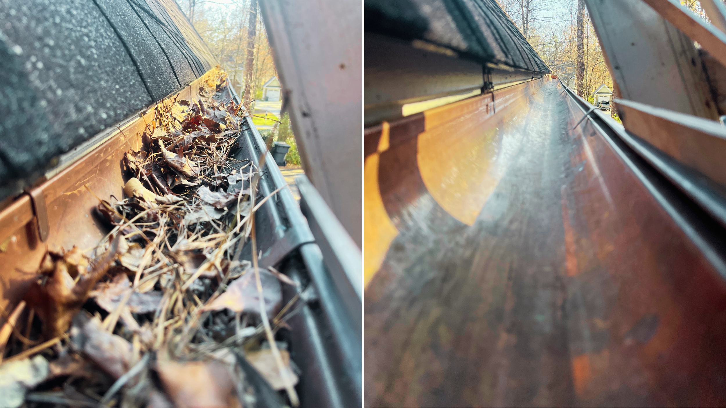Close-up of a rain gutter filled with dead leaves and debris on a house with black shingles, during daytime. Bright sunlight and trees with autumn foliage are visible in the background.