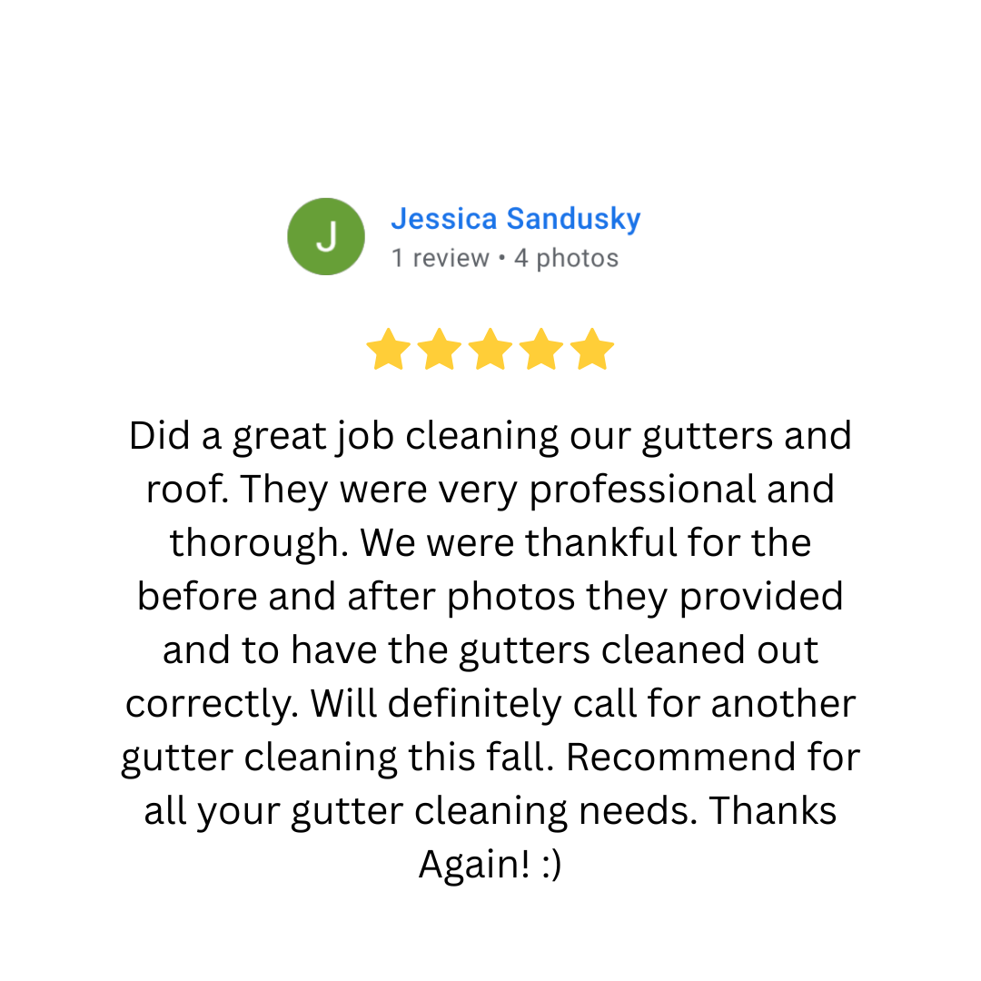 Customer review for gutter cleaning service with five-star rating, praising professionalism and thoroughness in gutter and roof cleaning, including before and after photos.