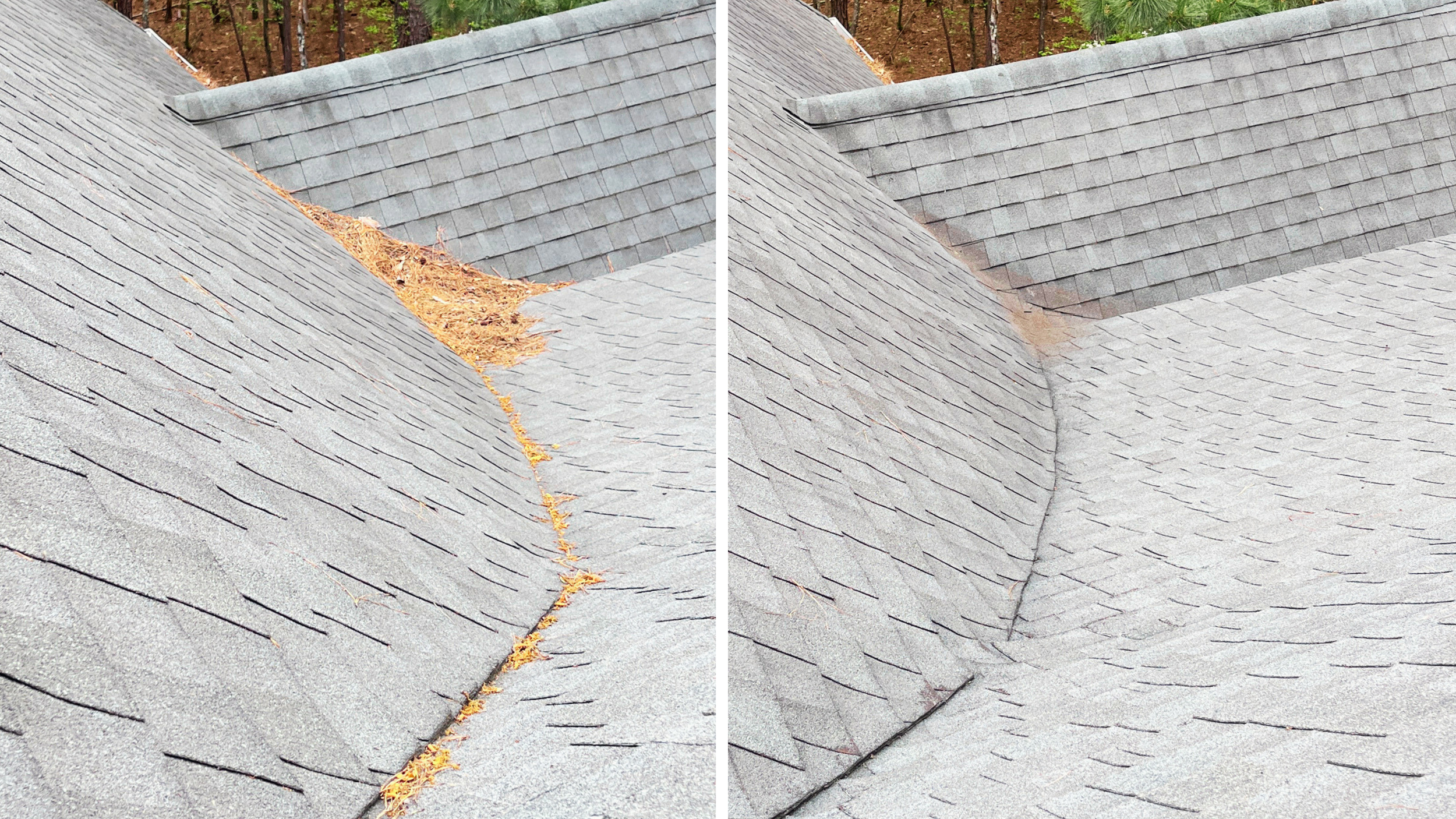 Comparison of two roofing shingles, with the left side showing a damaged area with dried leaves, and the right side showing a clean, intact shingle surface.