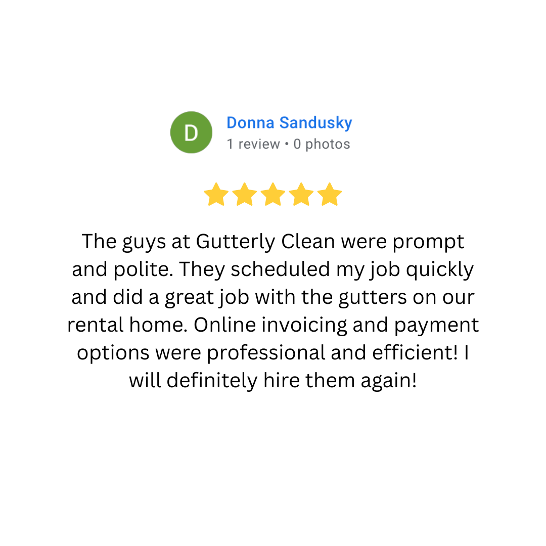 Google review for Gutterly Clean with five stars, praising the promptness, politeness, and professionalism of the gutter cleaning service, with online invoicing and payment options, and expressing satisfaction and intent to hire again.