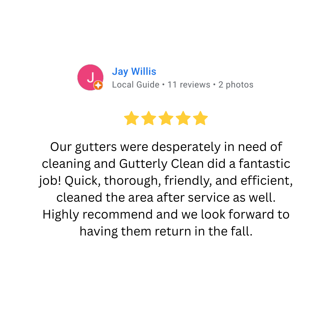 Customer review for gutter cleaning service, five-star rating, text praising quick, thorough, friendly, and efficient work.