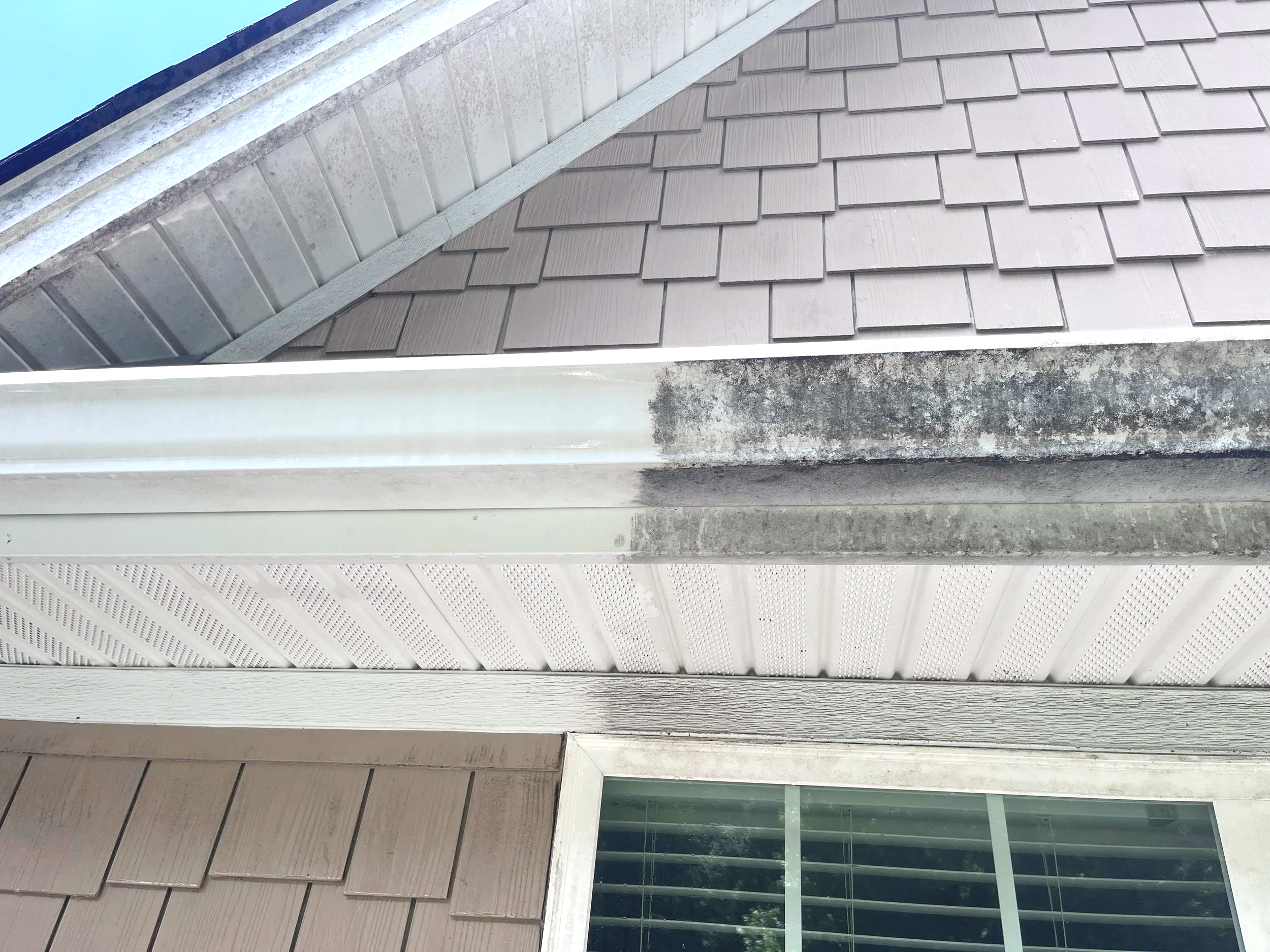 Gutterly clean offers gutter exterior cleaning