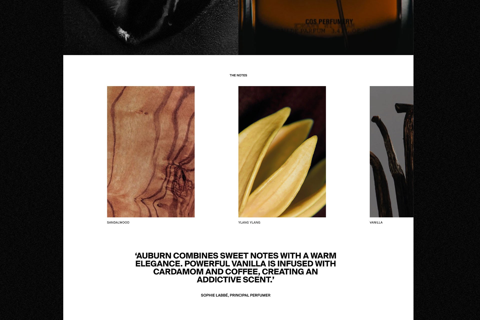 Perfumery52.jpg