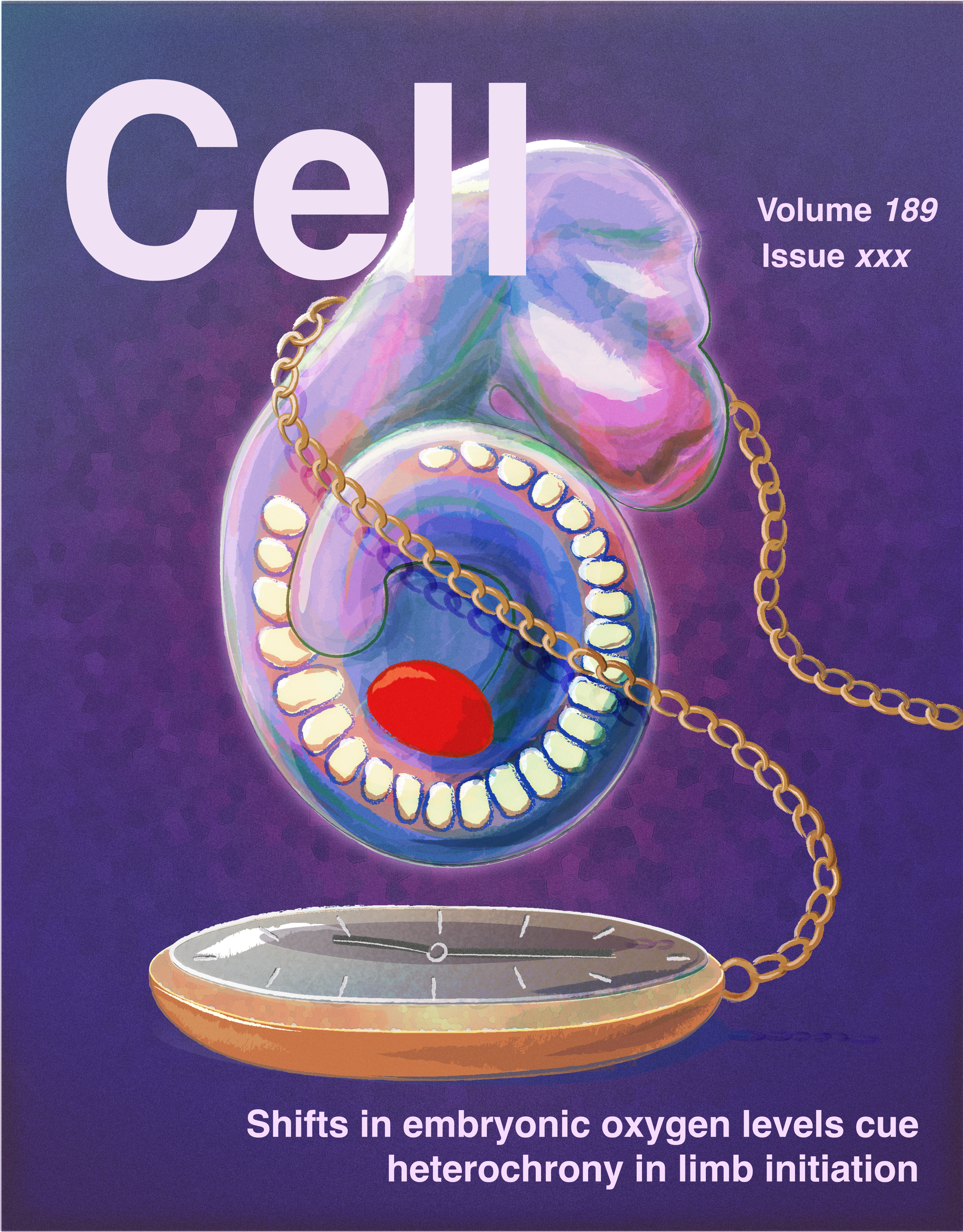 New work out @Cell!