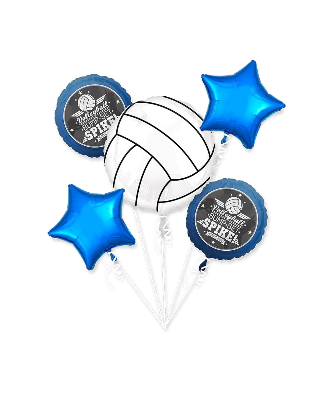 Volleyball Theme