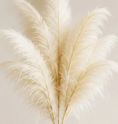 Feather Enhancement