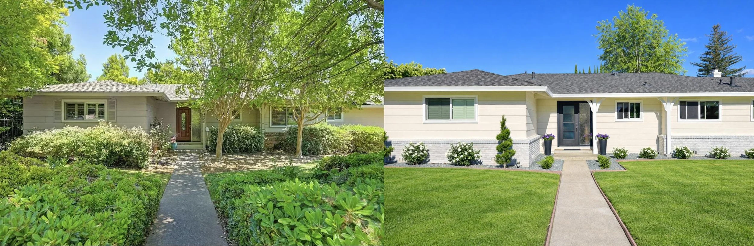 before_after_horizontal (1).jpg