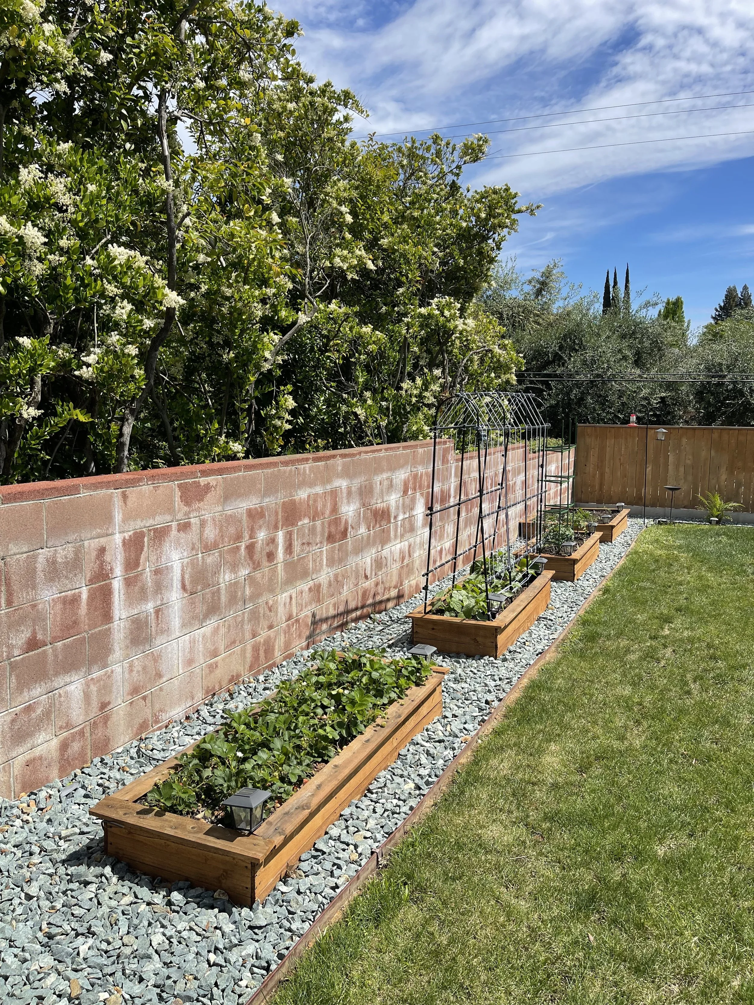 garden beds.jpeg