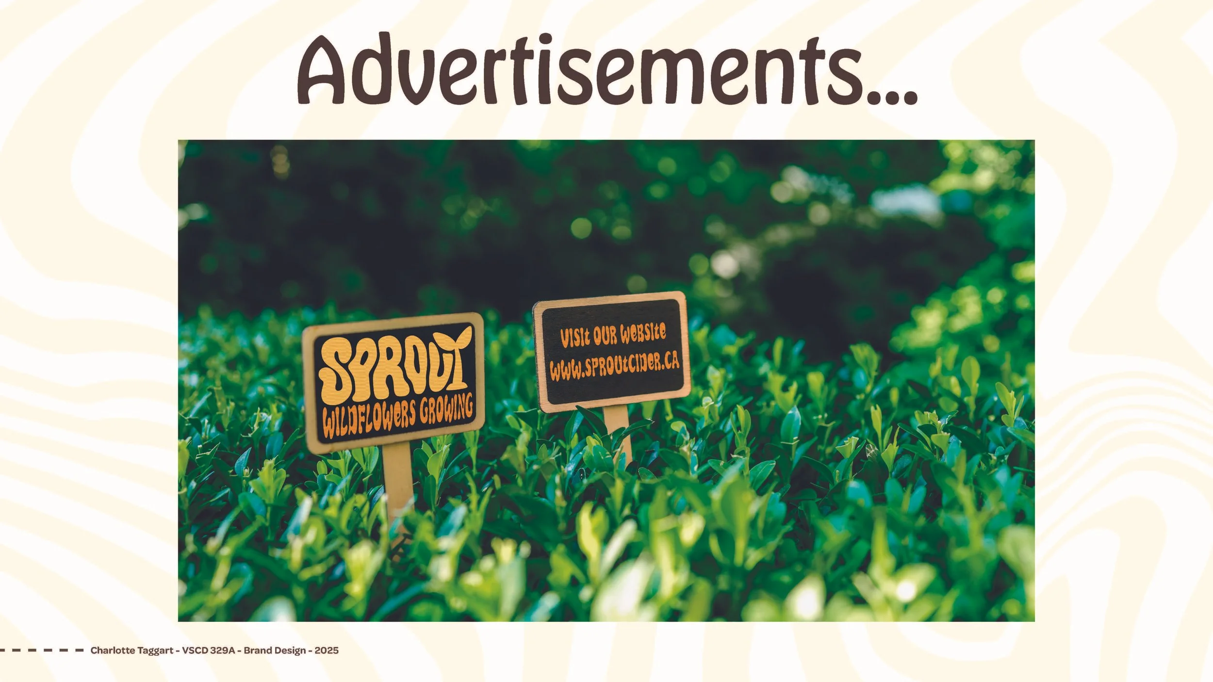 Charlotte_Taggart.VSCD329.A1.Sprout_presentation JPEGS_Page_17.jpg