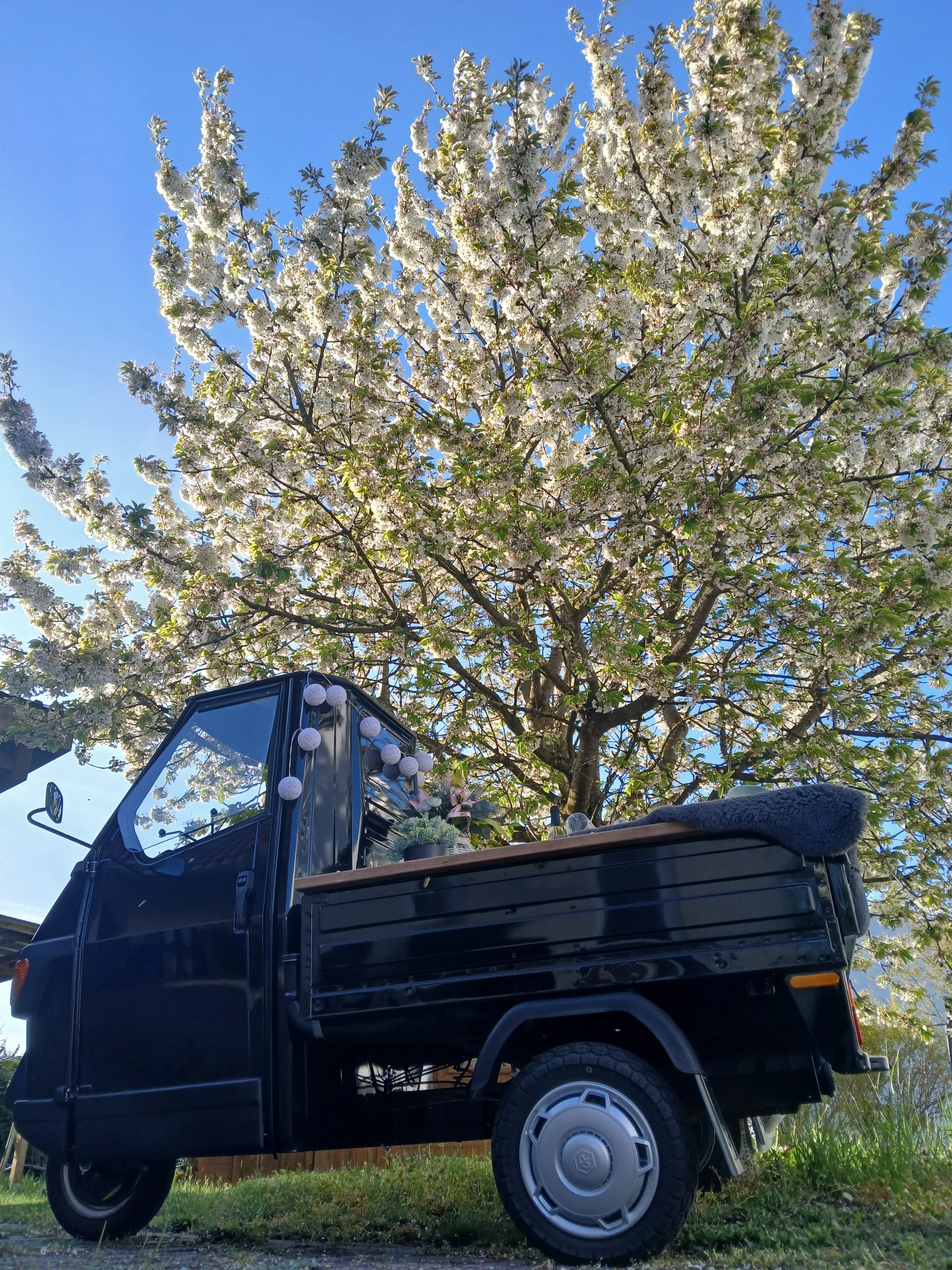 Ein schwarzer, kleiner Lieferwagen mit offenen Laderaum steht vor einem blühenden Baum mit weißen Blüten. Im Laderaum stehen einige Pflanzen, Dekorationen und eine Decke. Der Himmel ist klar und blau.