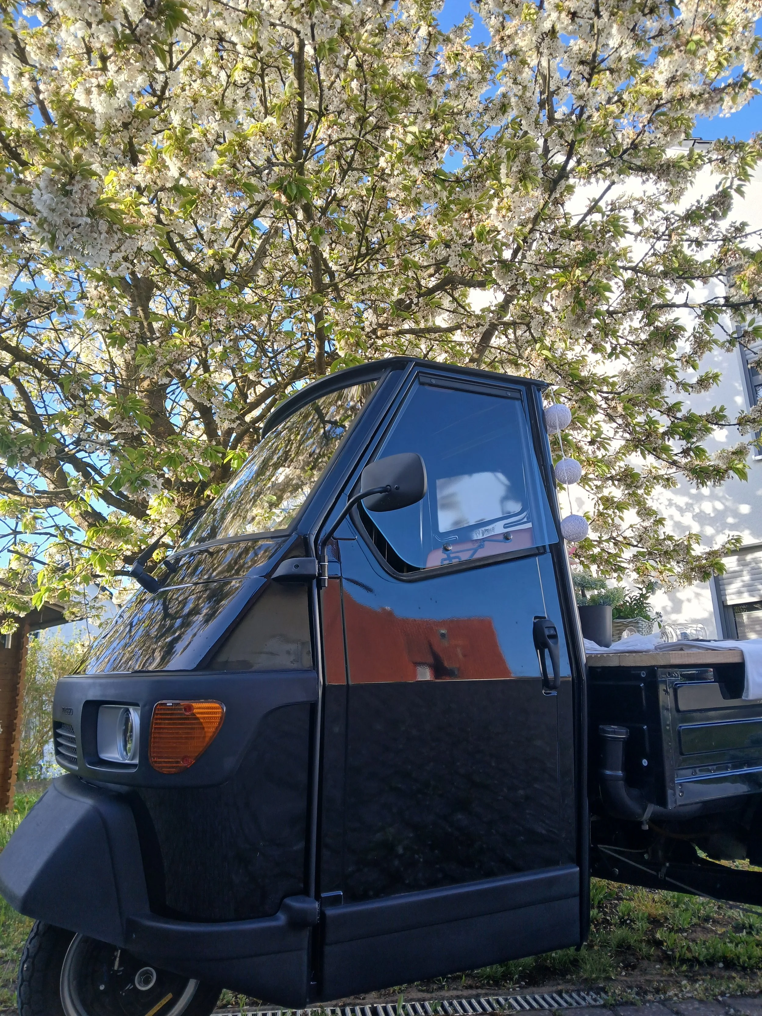 Ein schwarzer Lieferwagen steht vor einem blühenden Baum mit weißen Blüten, im Hintergrund ein blauer Himmel mit wenigen Wolken.