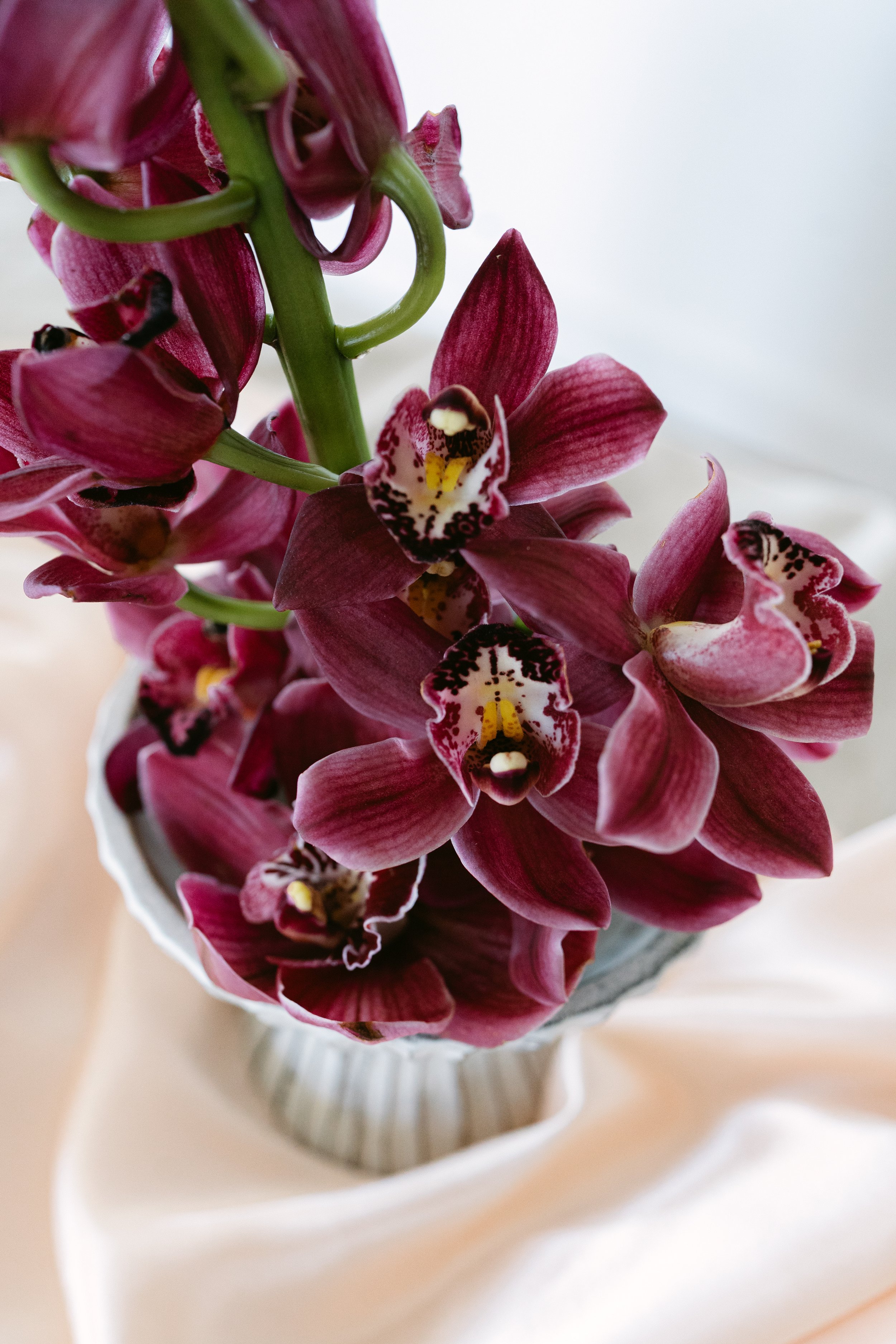 CloverRoeSpring26_BostonMA_KateElainePhoto-39.jpg