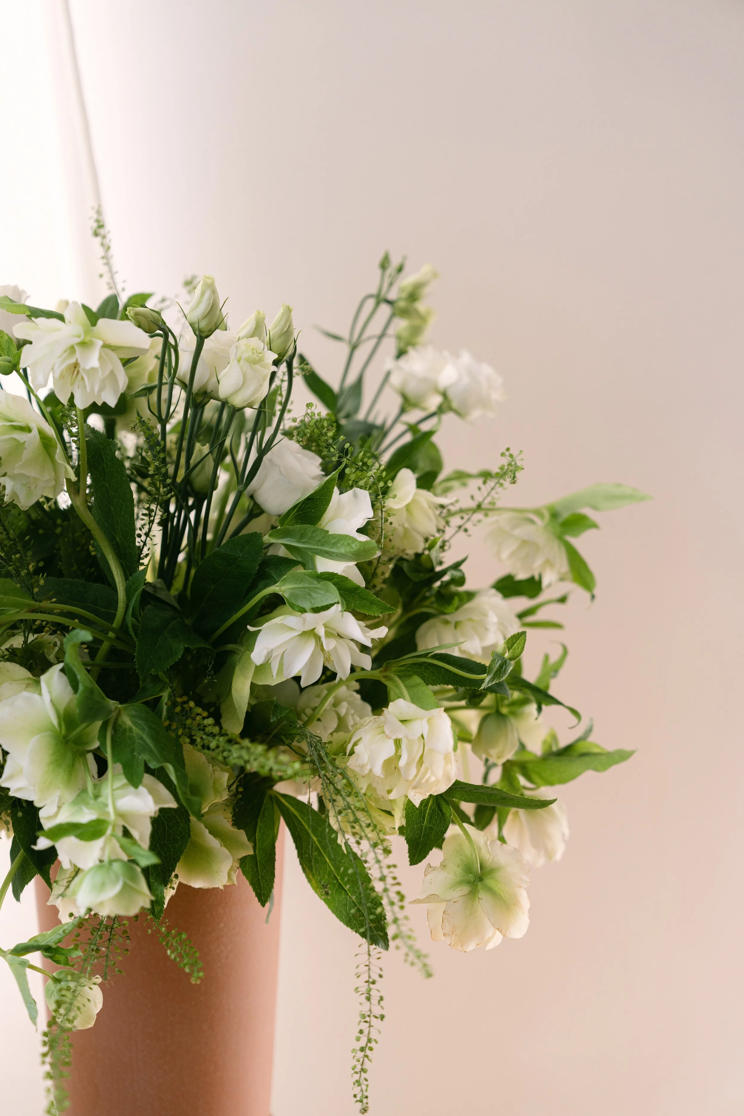 CloverRoeSpring26_BostonMA_KateElainePhoto-129.jpg