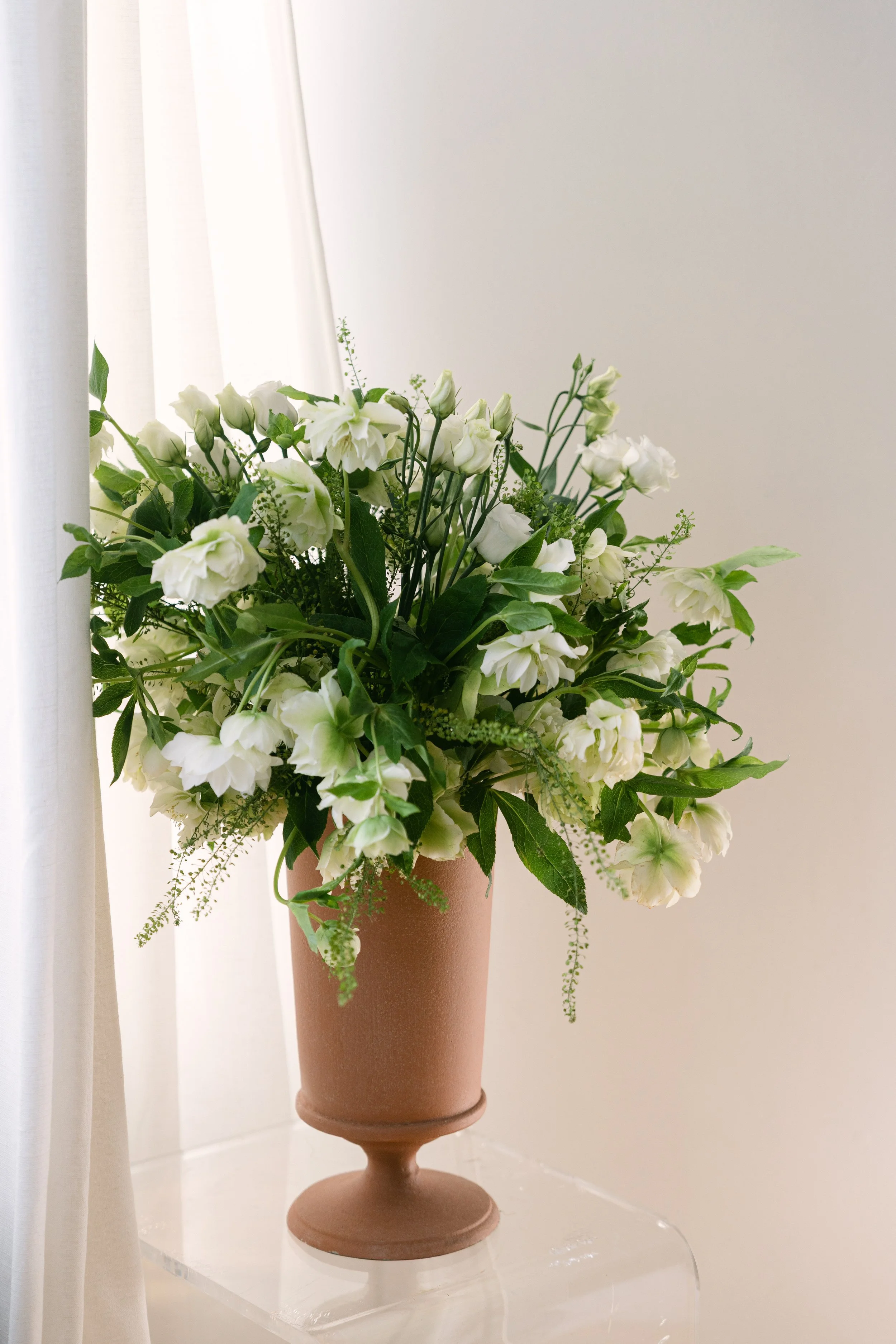 CloverRoeSpring26_BostonMA_KateElainePhoto-131.jpg