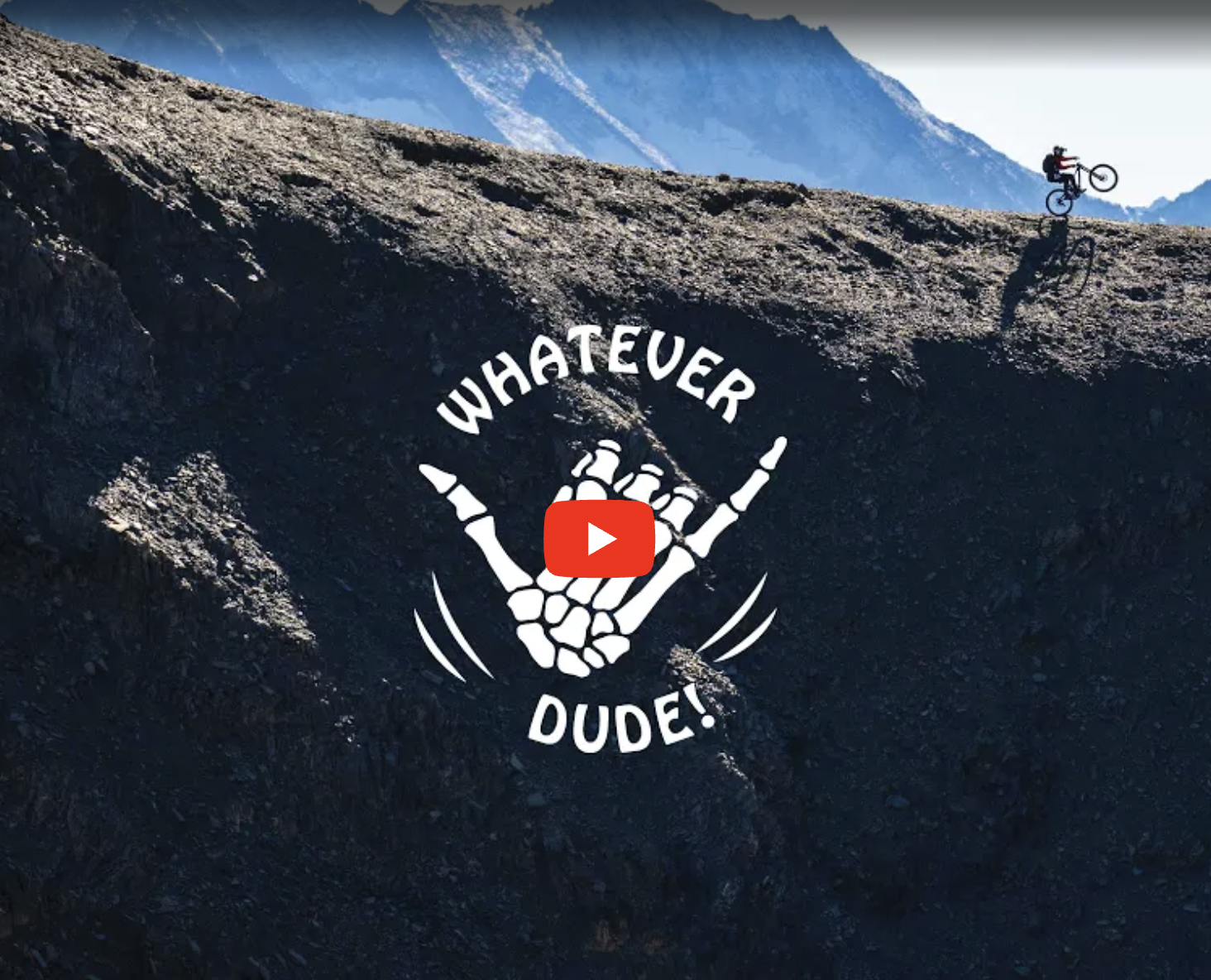 Trayl Notes - Campaigns: Dakine  - Whatever Dude!