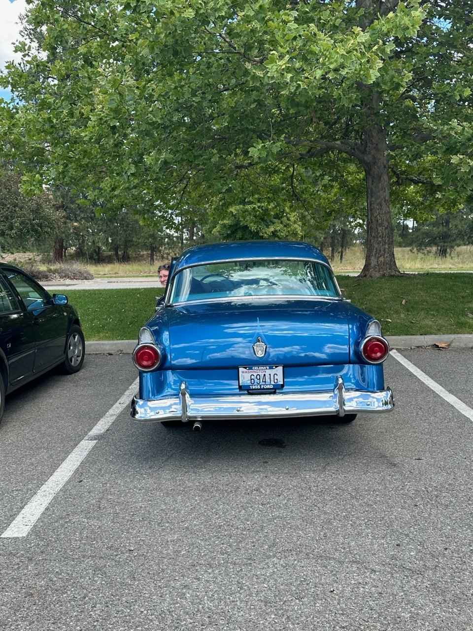 Rear view of a vintage blue 1955 Ford parked in a parking lot, with a tree and grassy area in the background.