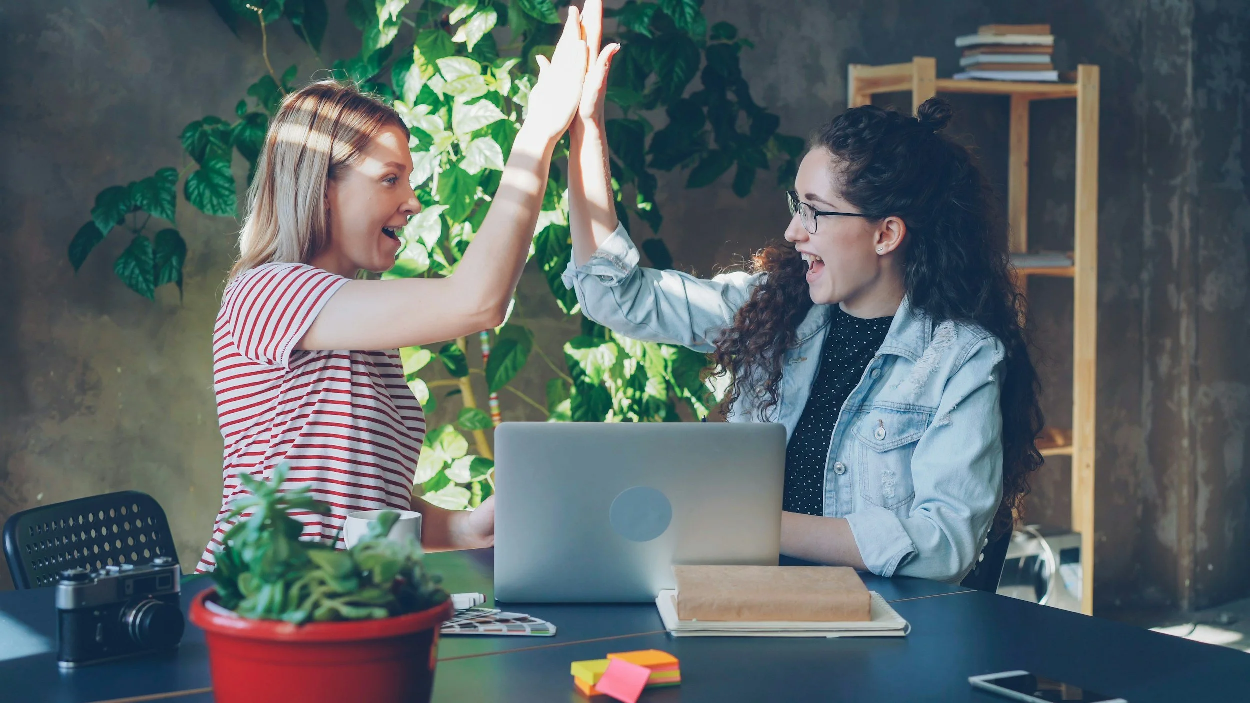 Two women high-fiving each other in an office or workspace setting, with green plants and shelves in the background. One woman has blonde hair, wearing a striped shirt, and the other has curly dark hair and glasses, wearing a denim jacket.