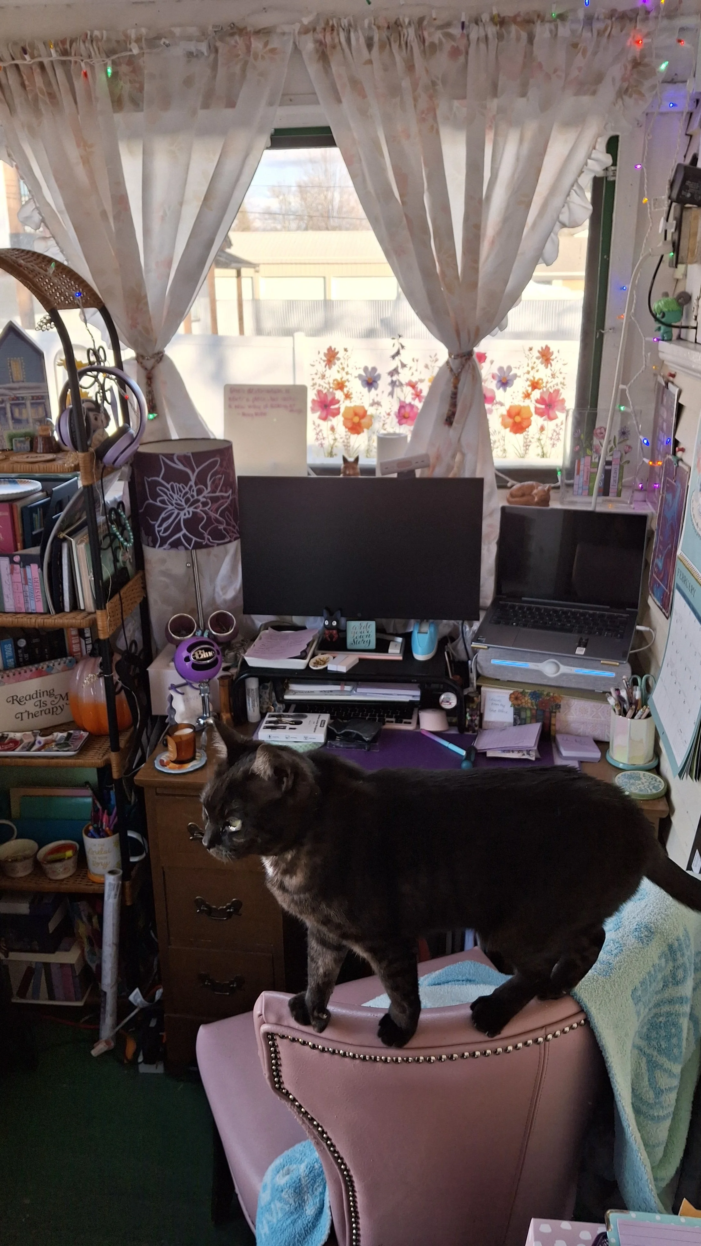 A cozy, cluttered home office with a window decorated with floral curtains and colorful string lights. The desk has a computer monitor, a laptop, various office supplies, and a cat sitting on the desk and a black cat walking on a pink chair in the foreground.