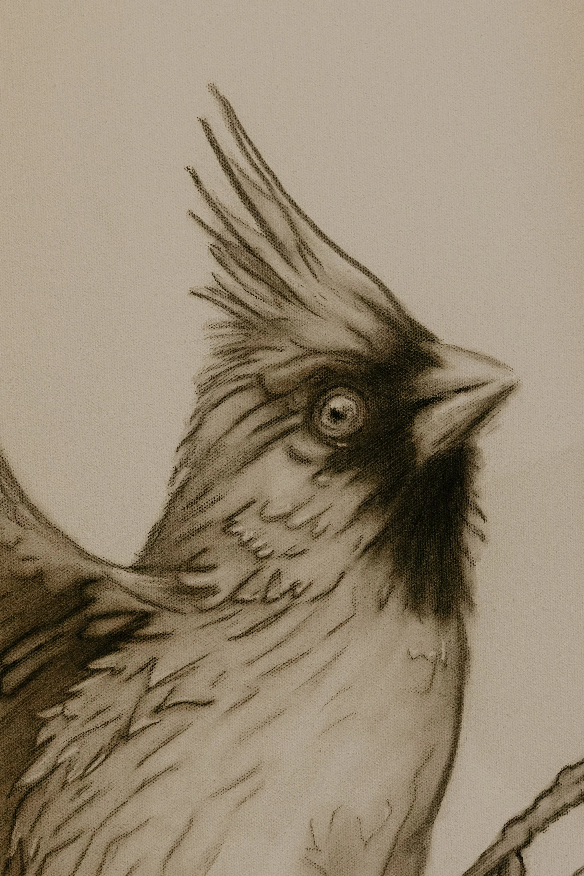 artwork2026-58.jpg