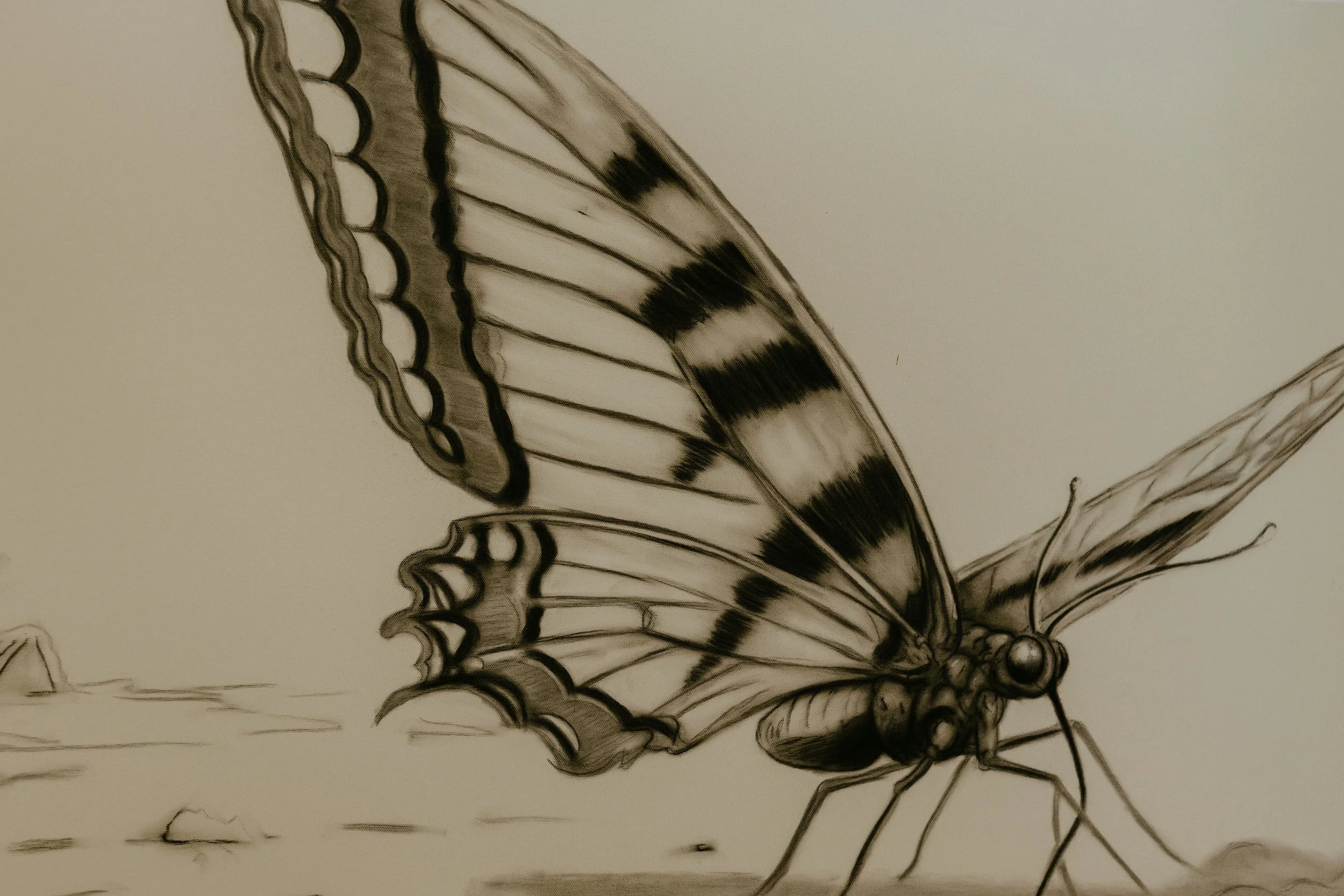 artwork2026-87.jpg