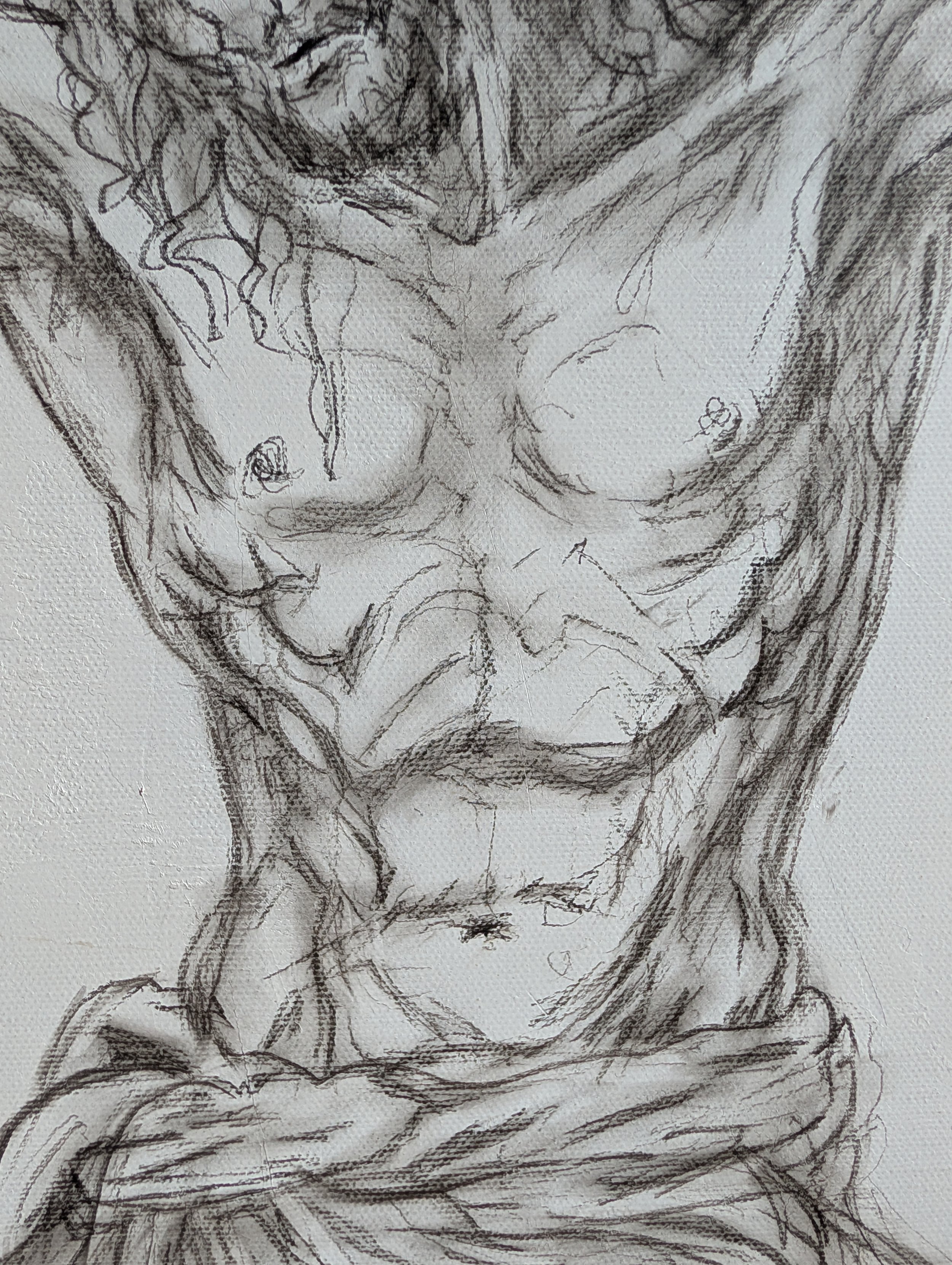 Torso Detail