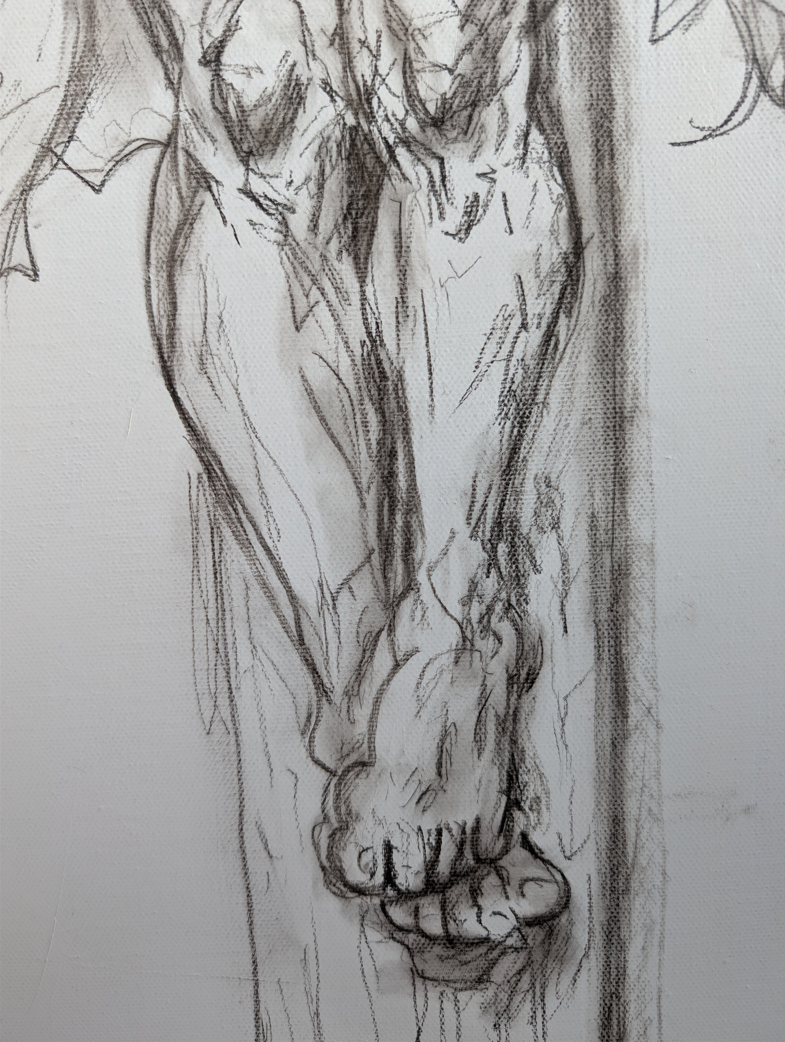 Legs Detail