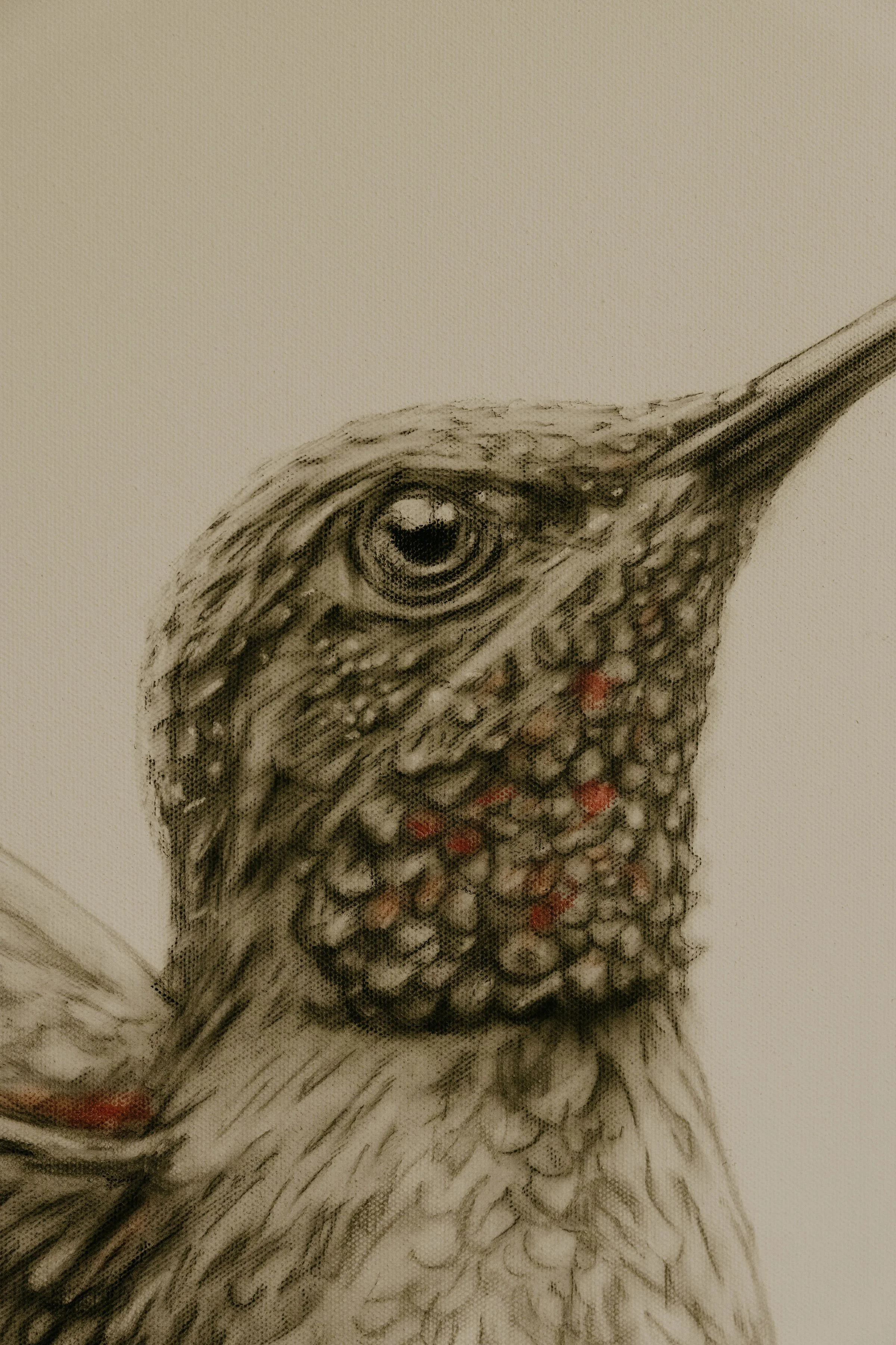 artwork2026-66.jpg