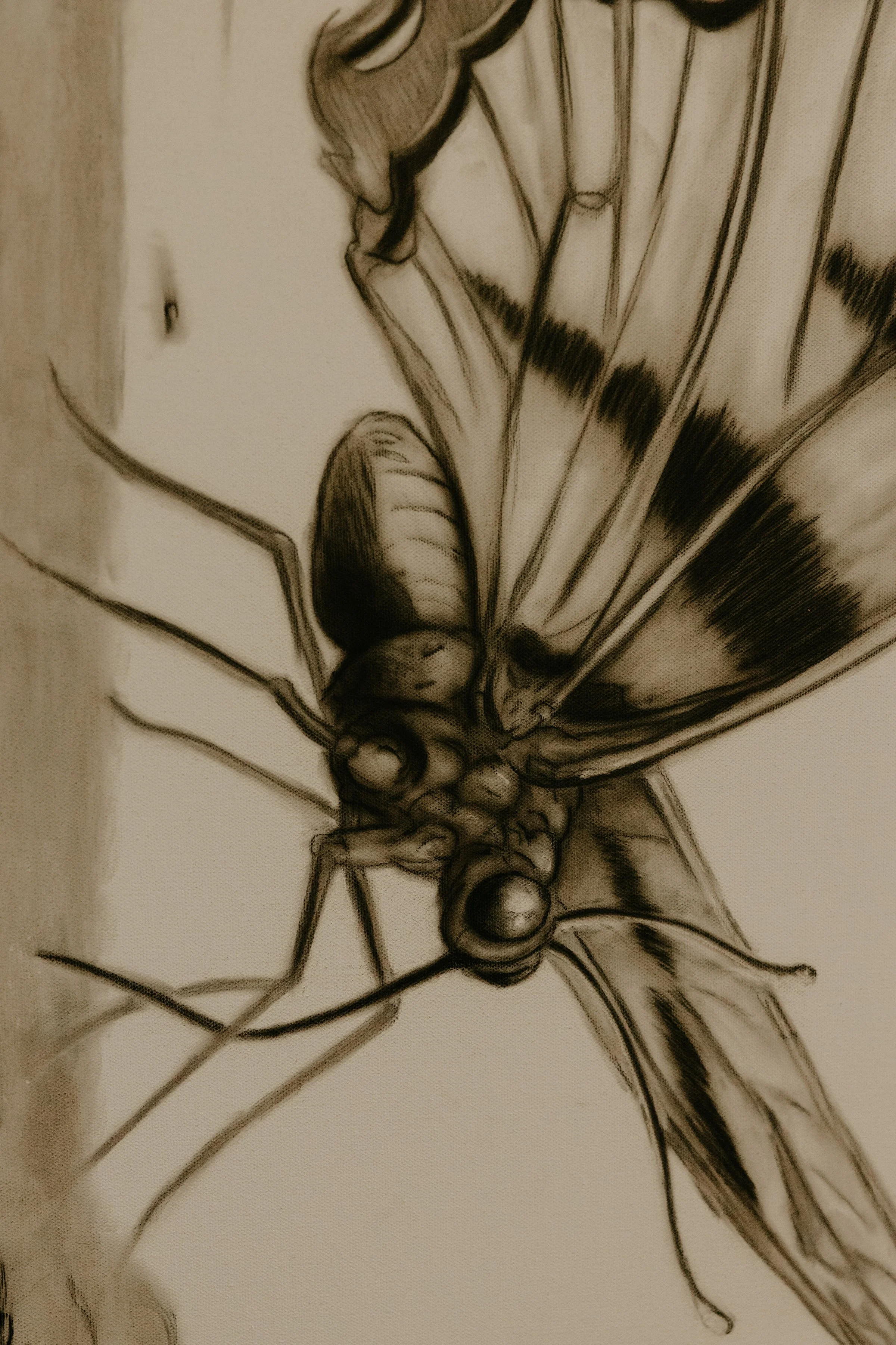 artwork2026-88.jpg