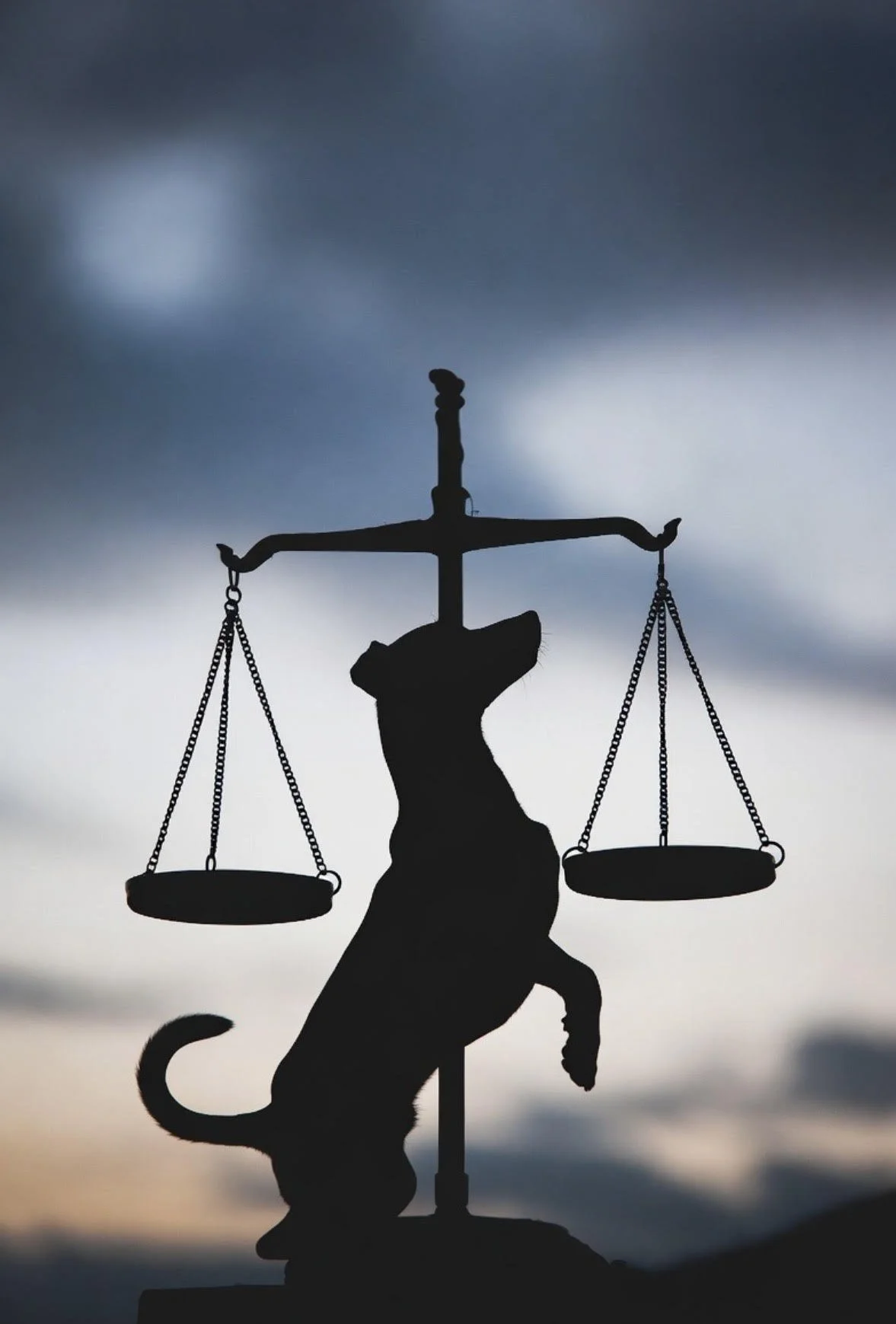 ASSISTÊNCIA TÉCNICA JUDICIAL