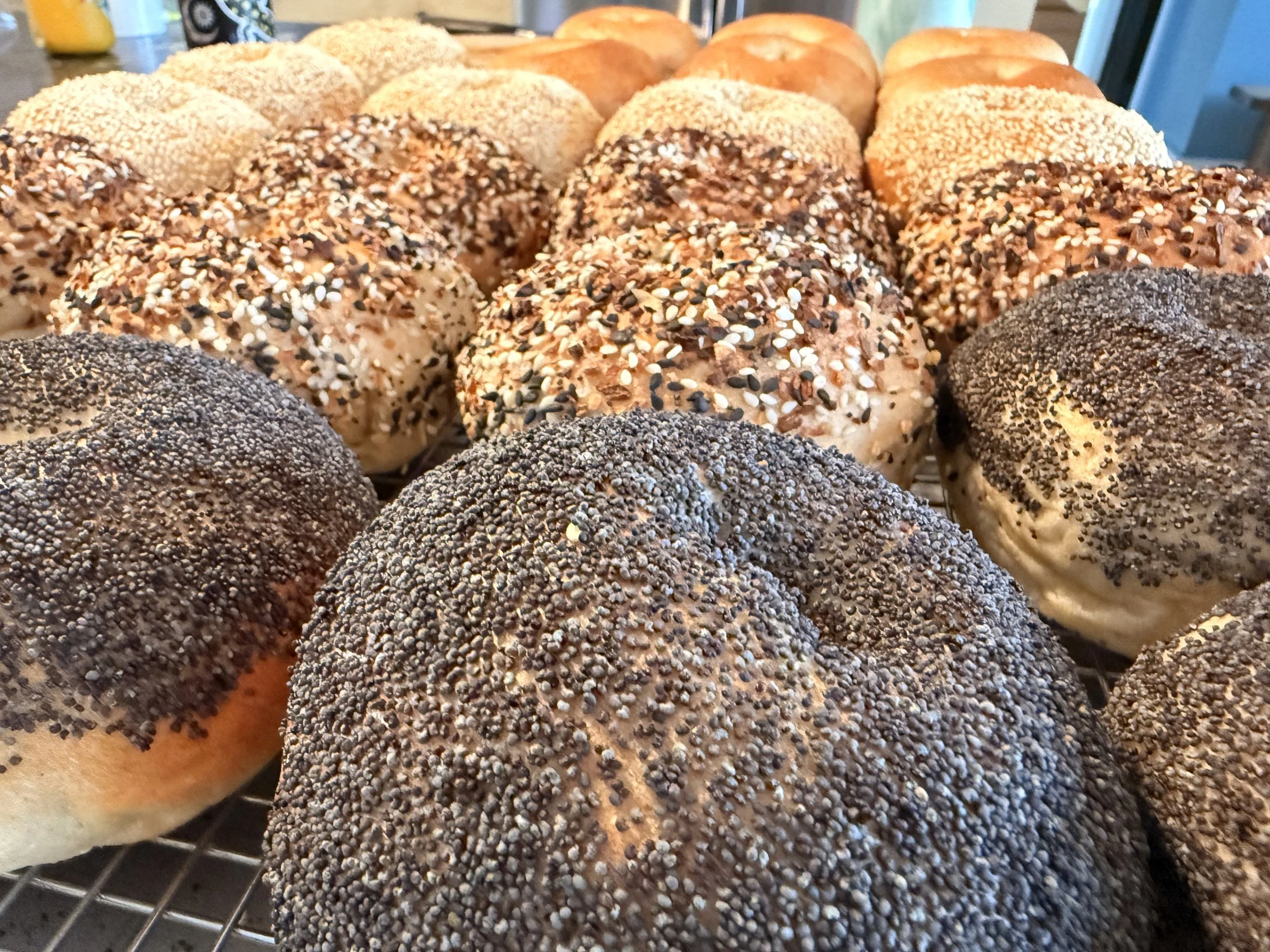 Close-up of assorted bread rolls, some topped with sesame seeds and others with poppy seeds, on a cooling rack.
