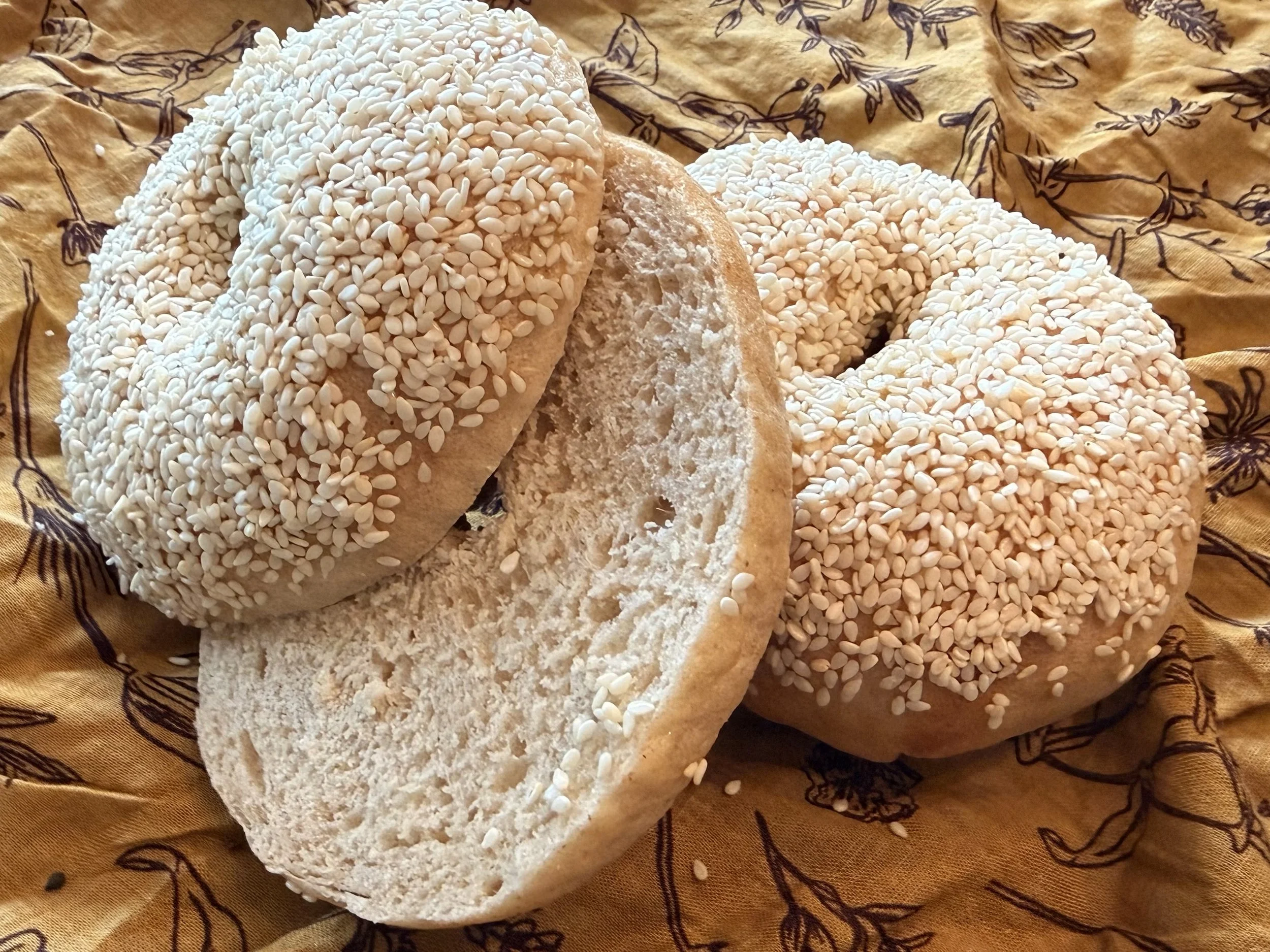 Close-up of three sesame seed-covered bread rolls on a brown cloth with a floral pattern.