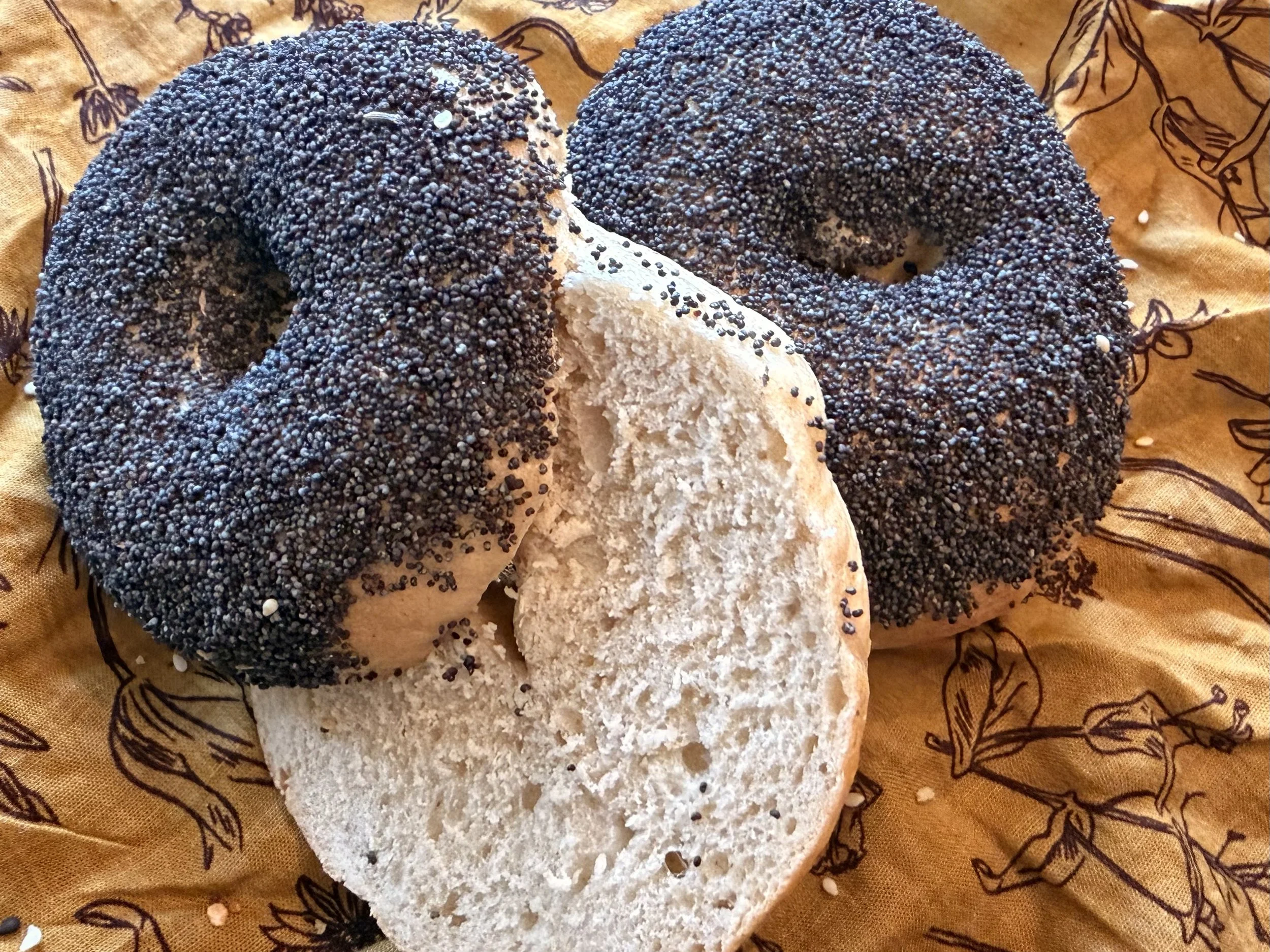 Two bagels topped with black poppy seeds on a decorative cloth.