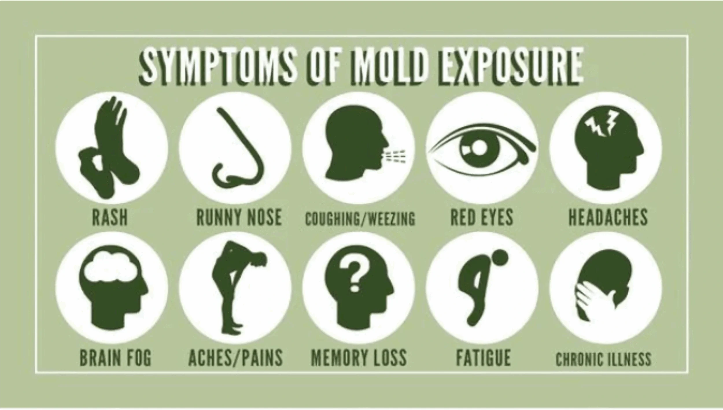Infographic showing symptoms of mold exposure, including rash, runny nose, coughing/weezing, red eyes, headaches, brain fog, aches/pains, memory loss, fatigue, and chronic illness, with icons representing each symptom.