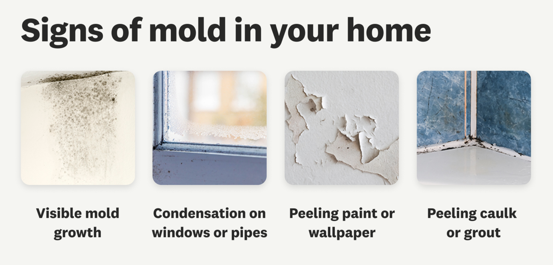 Four images illustrating signs of mold in the home. The first shows visible mold growth on a surface, the second a window with condensation, the third peeling paint or wallpaper, and the fourth peeling caulk or grout.