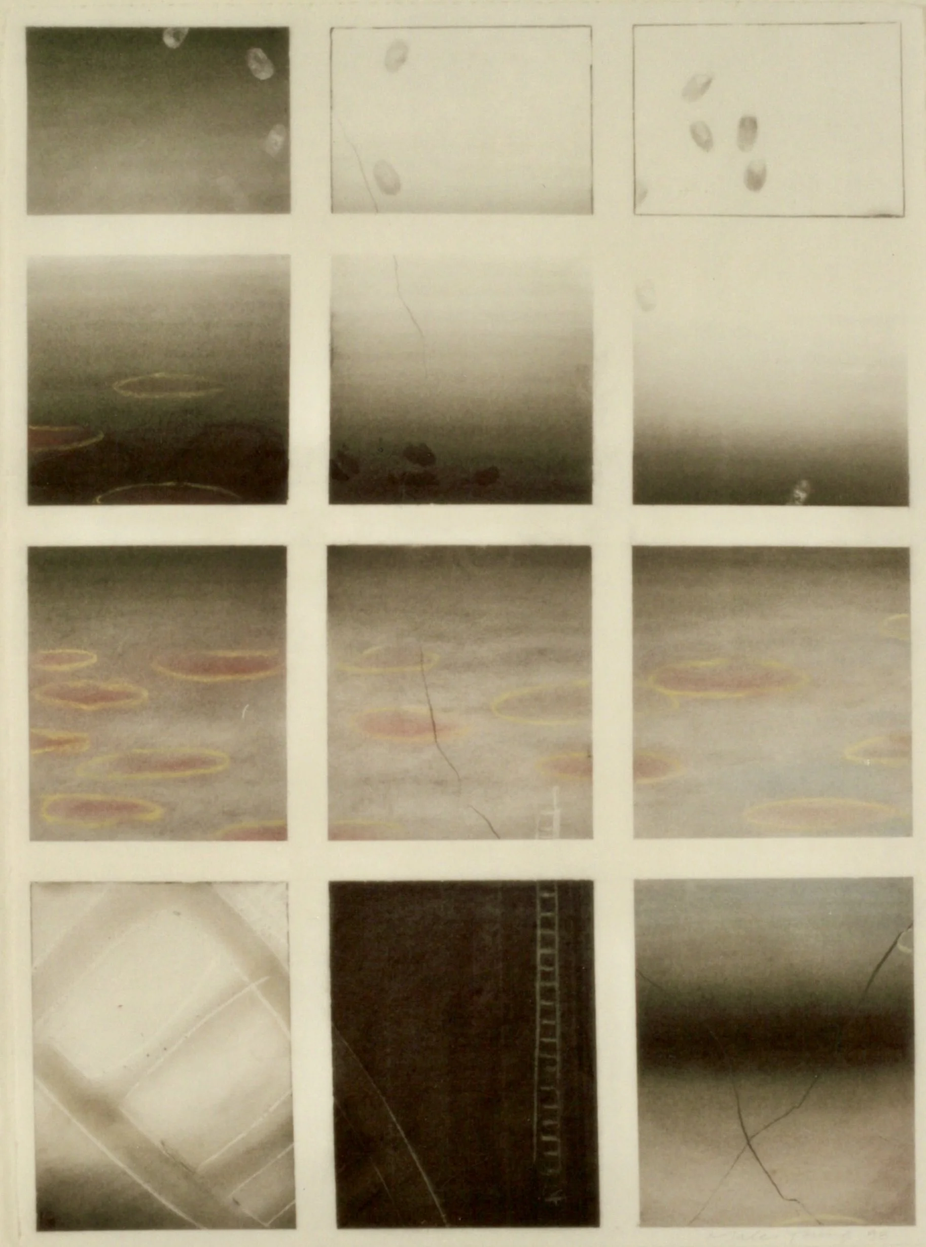 20260523164514_00015 2.jpg