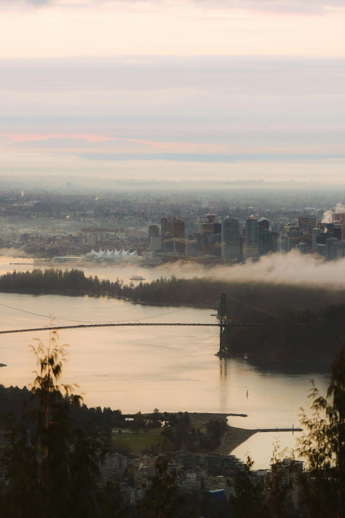 City skyline with high-rise buildings, fog, a body of water with a bridge, and trees in the foreground during sunrise or sunset.