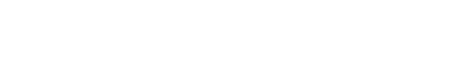 Hyundai logo (Copy)