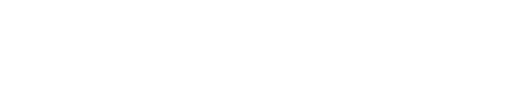 Mastercard Card logo (Copy)
