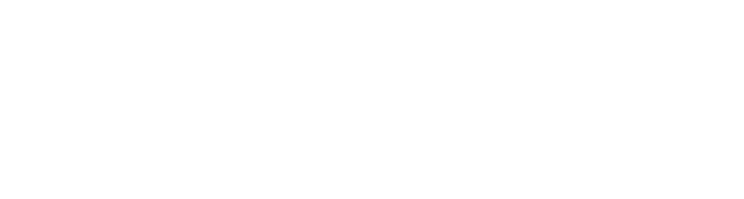 Vasculearn Network logo (Copy)