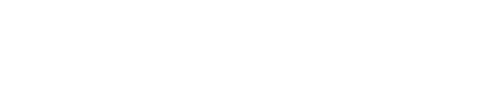 Domino Data Lab - ffffff .png