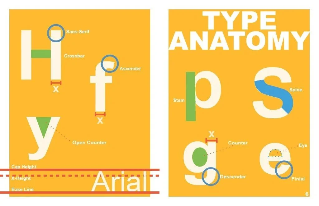 type anatomy layout
