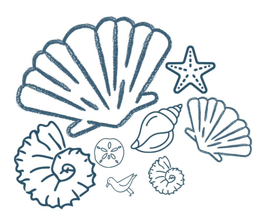 shell collage