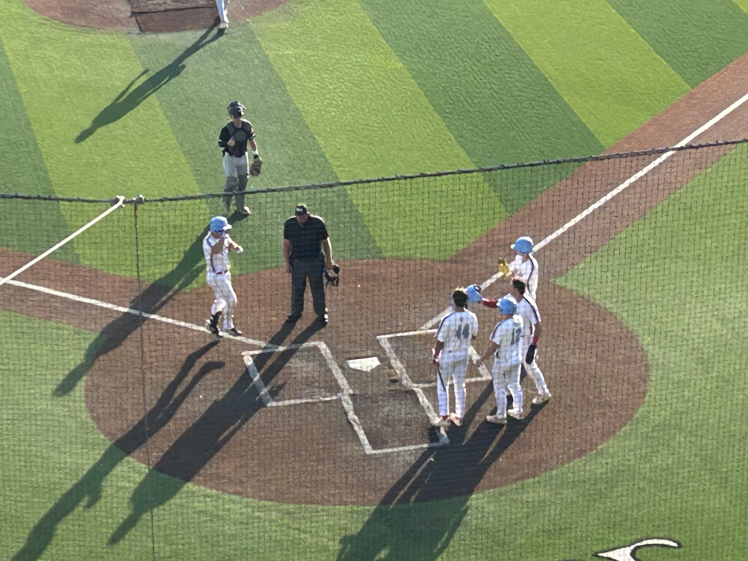 Bee Jays Blank Bat Cats