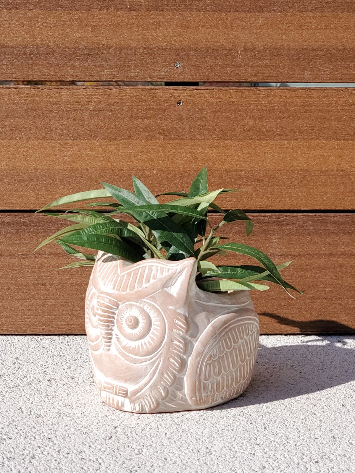 STY00_POT_TERRACOTTAPLANTER-HORNEDOWL.jpg