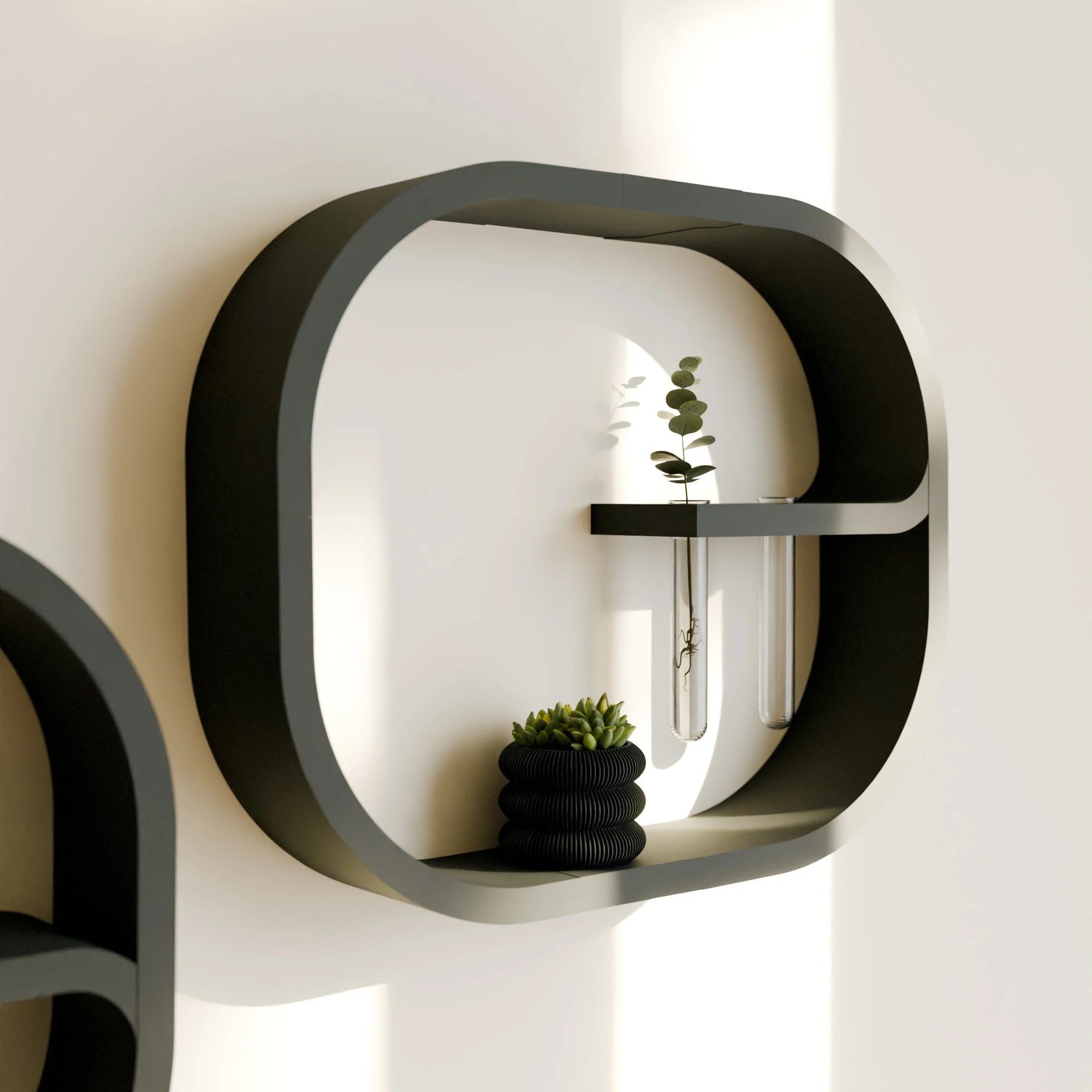 CircleShelfPhoto6_png.jpg