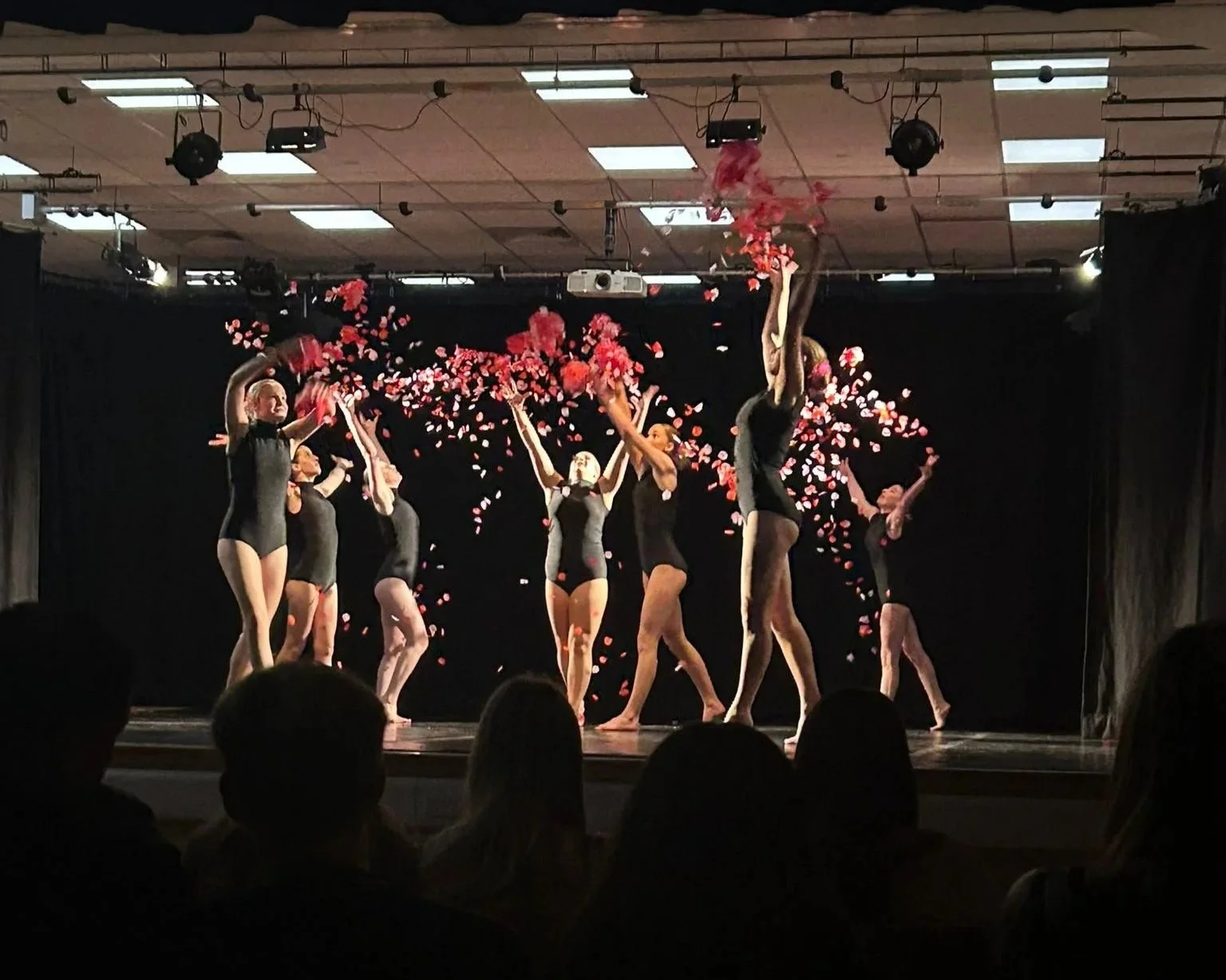 Contemporary dancers perform onstage as pink and red petals fall around them, viewed from the audience.